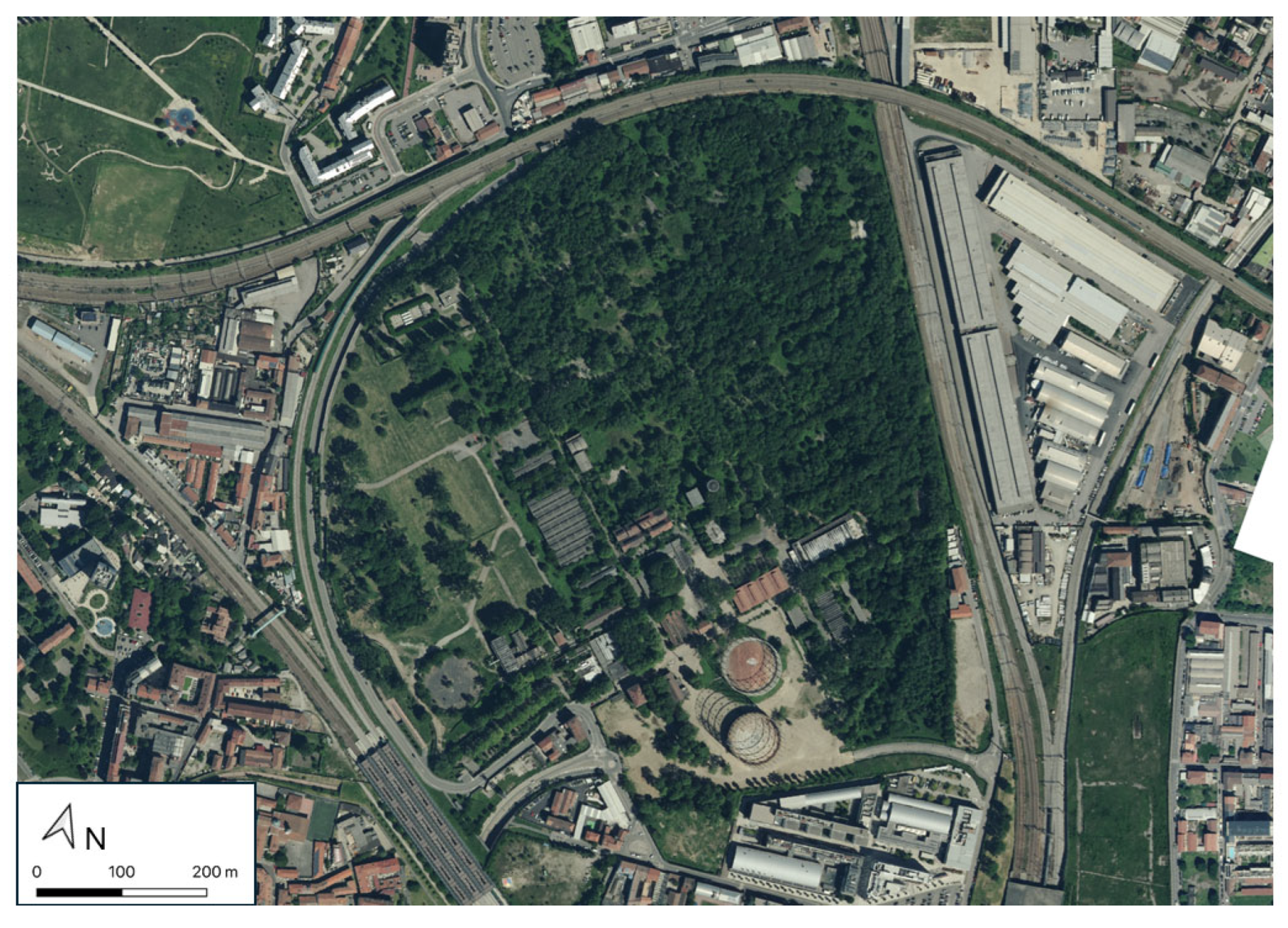 Forests 16 01410 g001 Forests 16 01410 g001