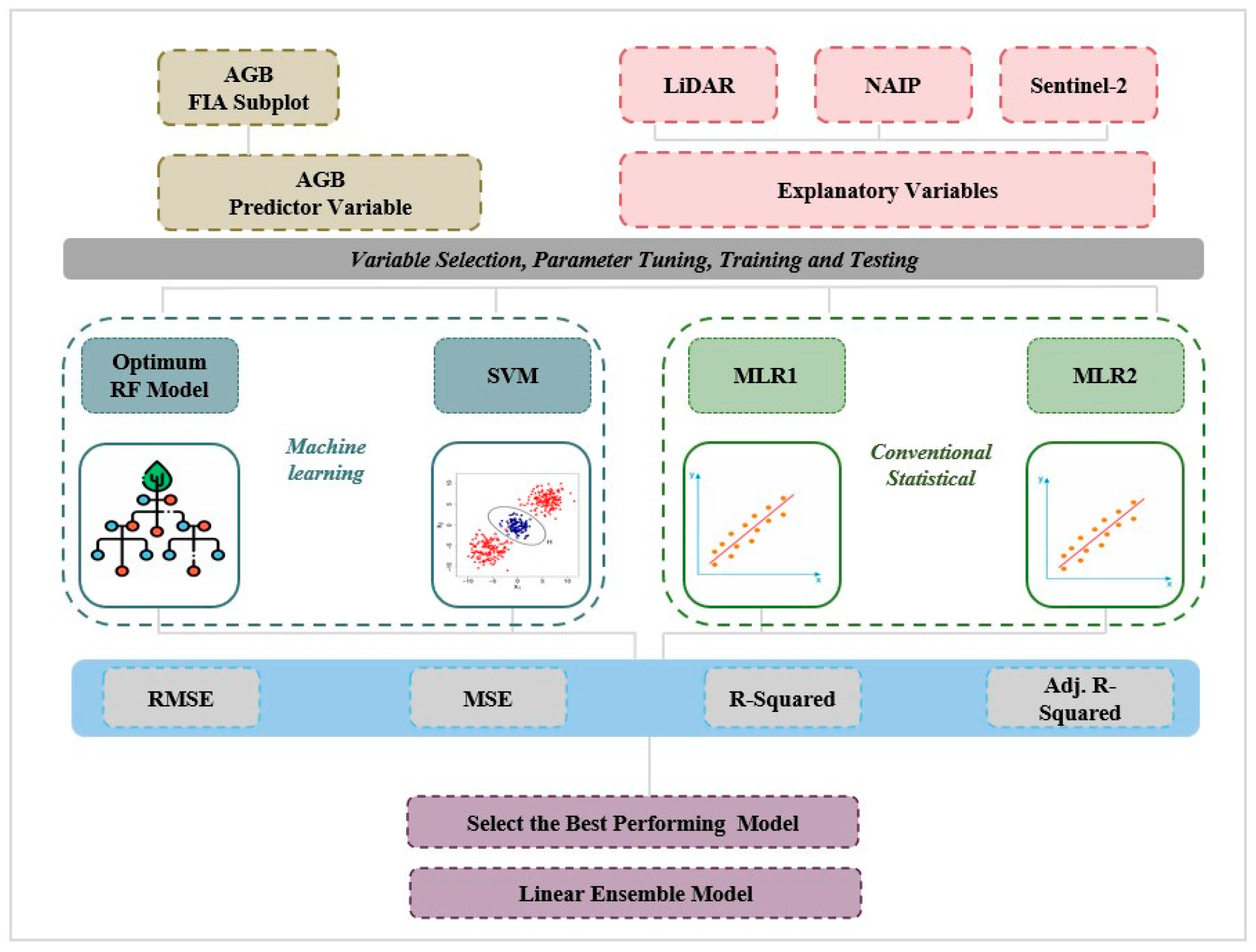 Forests 16 01430 g002 Forests 16 01430 g002
