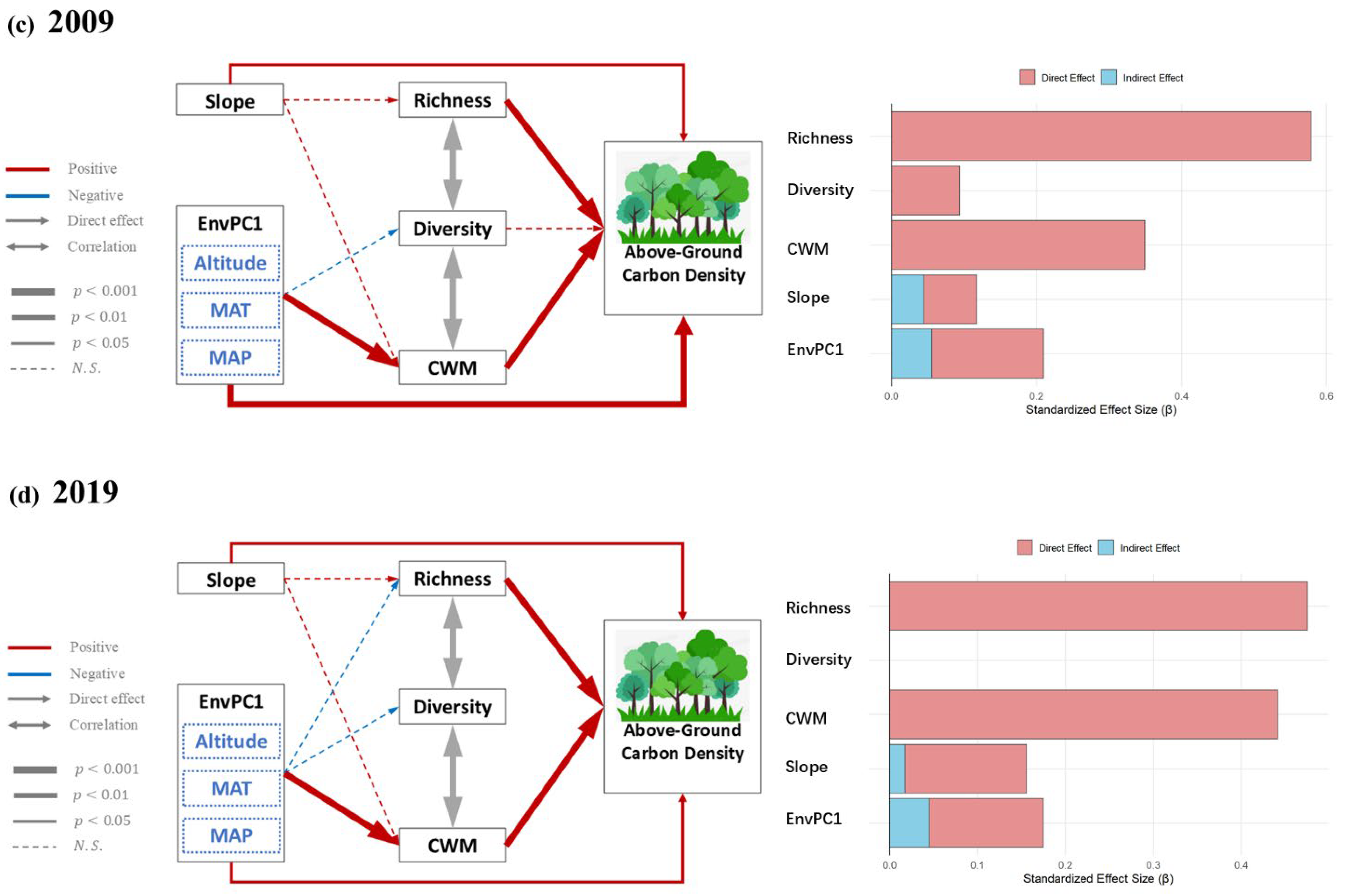 Forests 16 01496 g007b Forests 16 01496 g007b