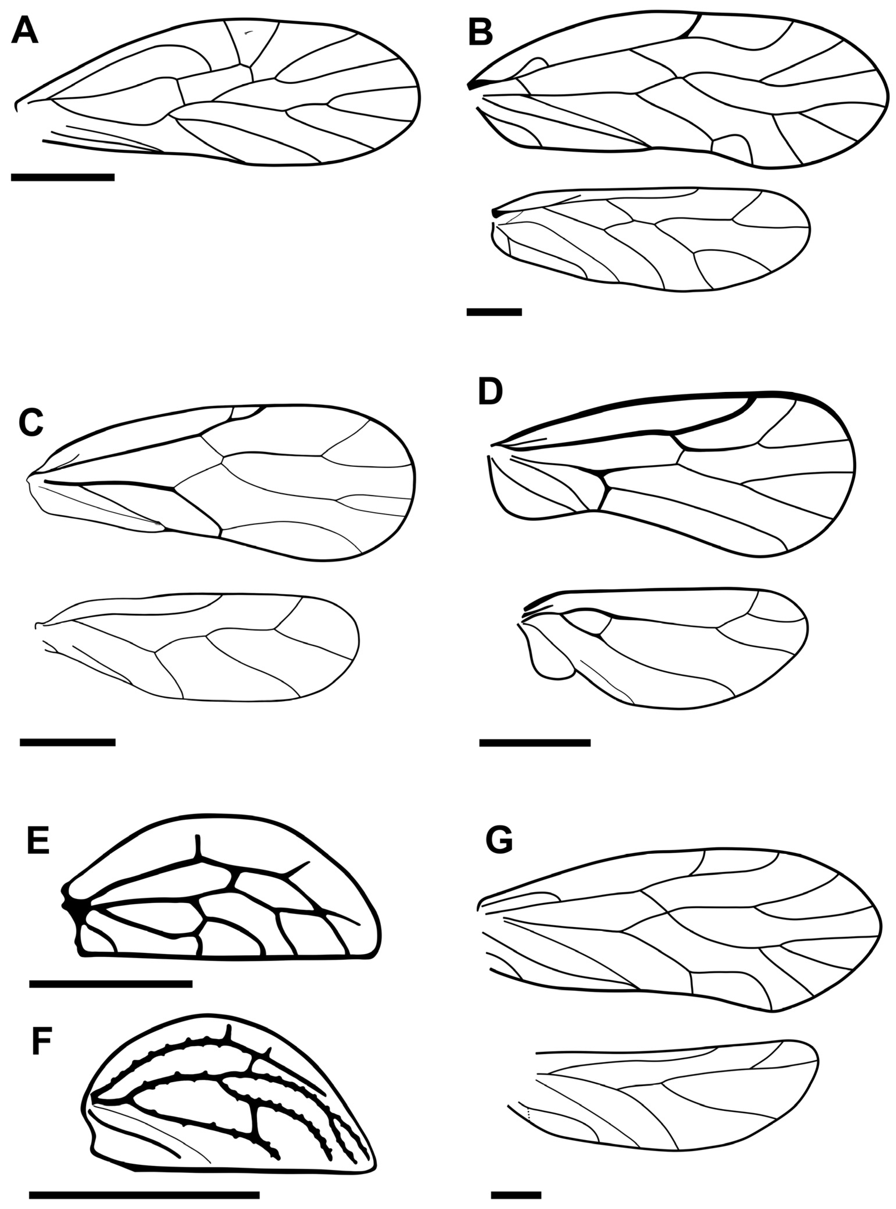 Fossstud 02 00008 g003 Fossstud 02 00008 g003