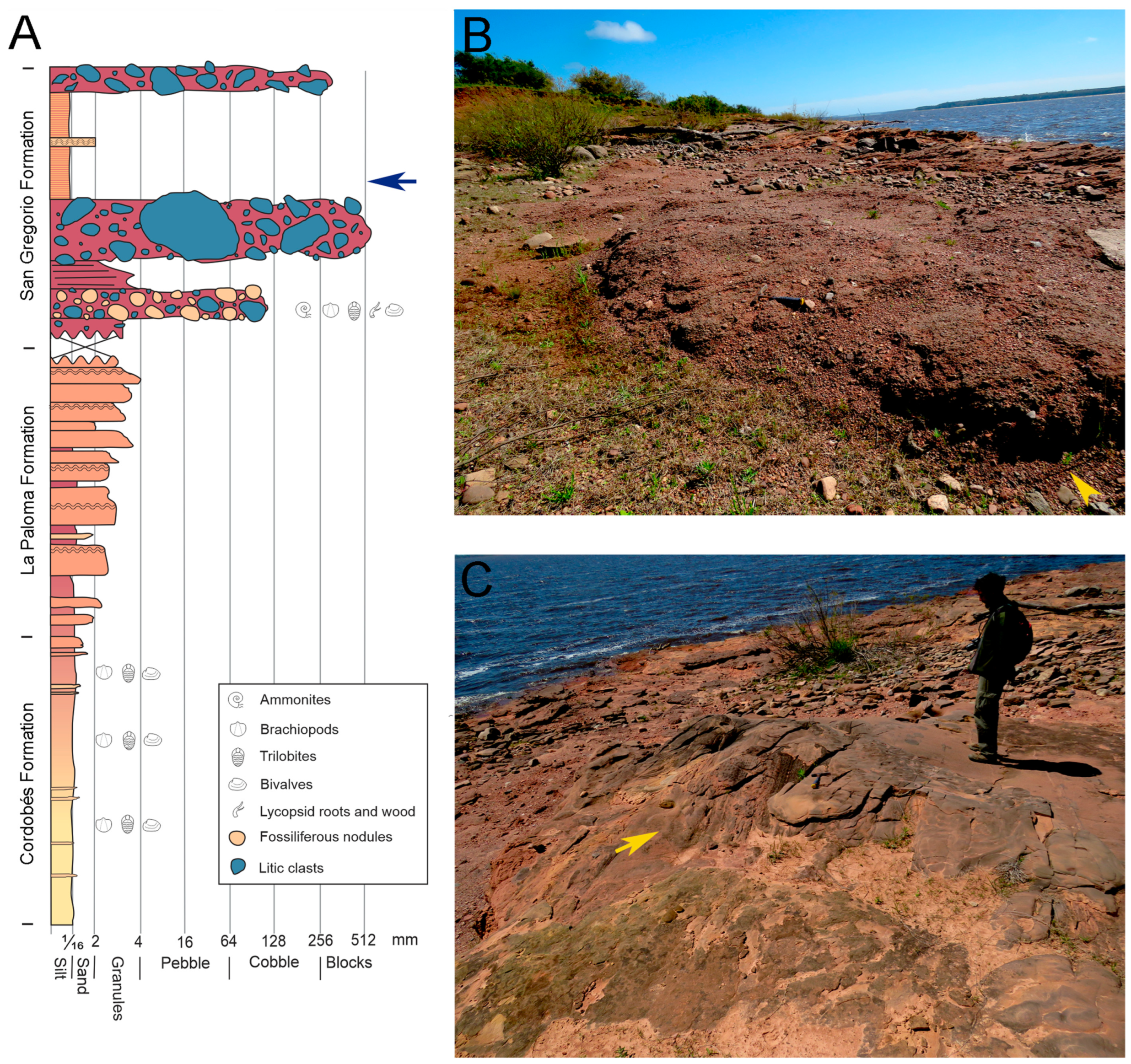 Fossstud 02 00011 g002 Fossstud 02 00011 g002