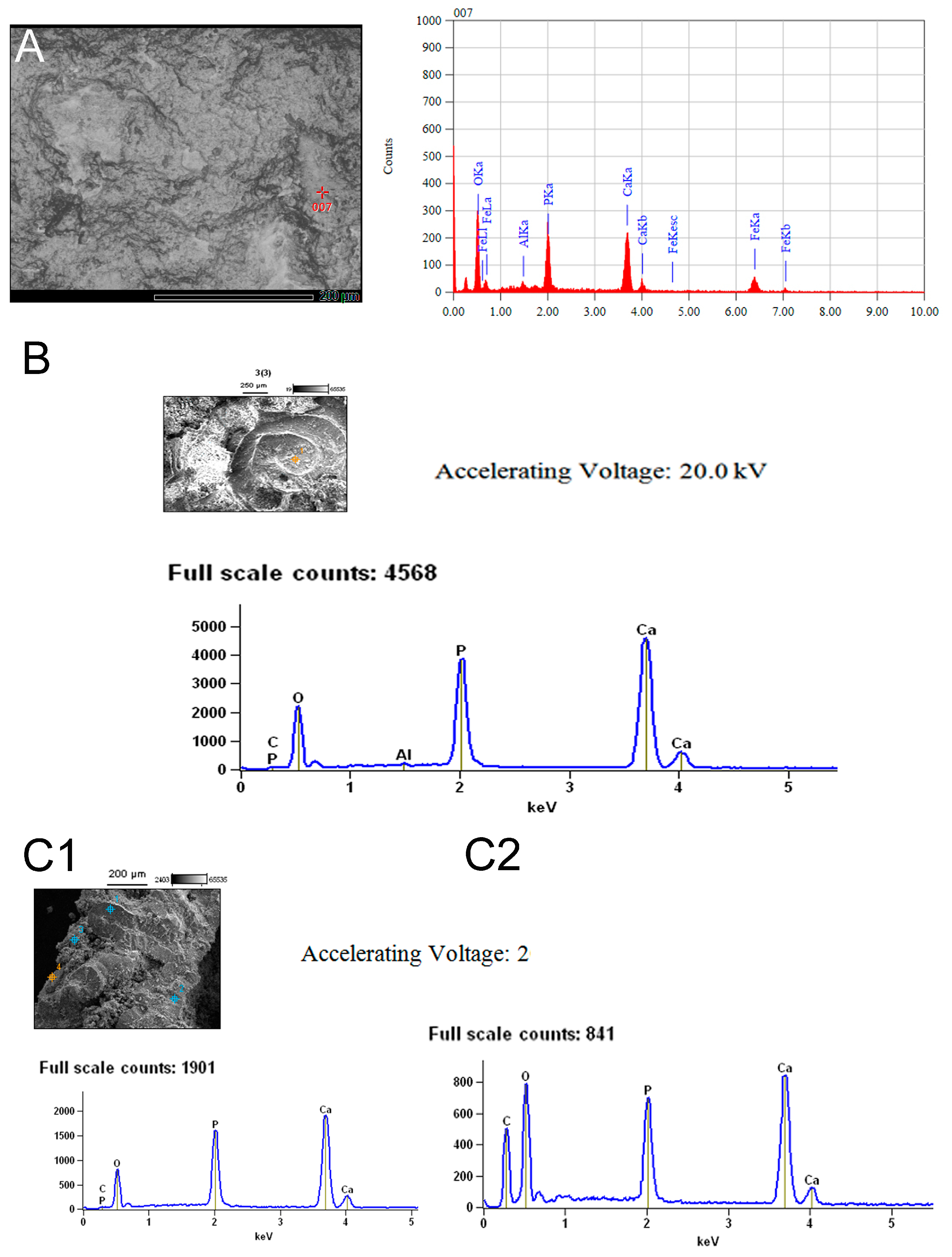 Fossstud 02 00011 g006 Fossstud 02 00011 g006