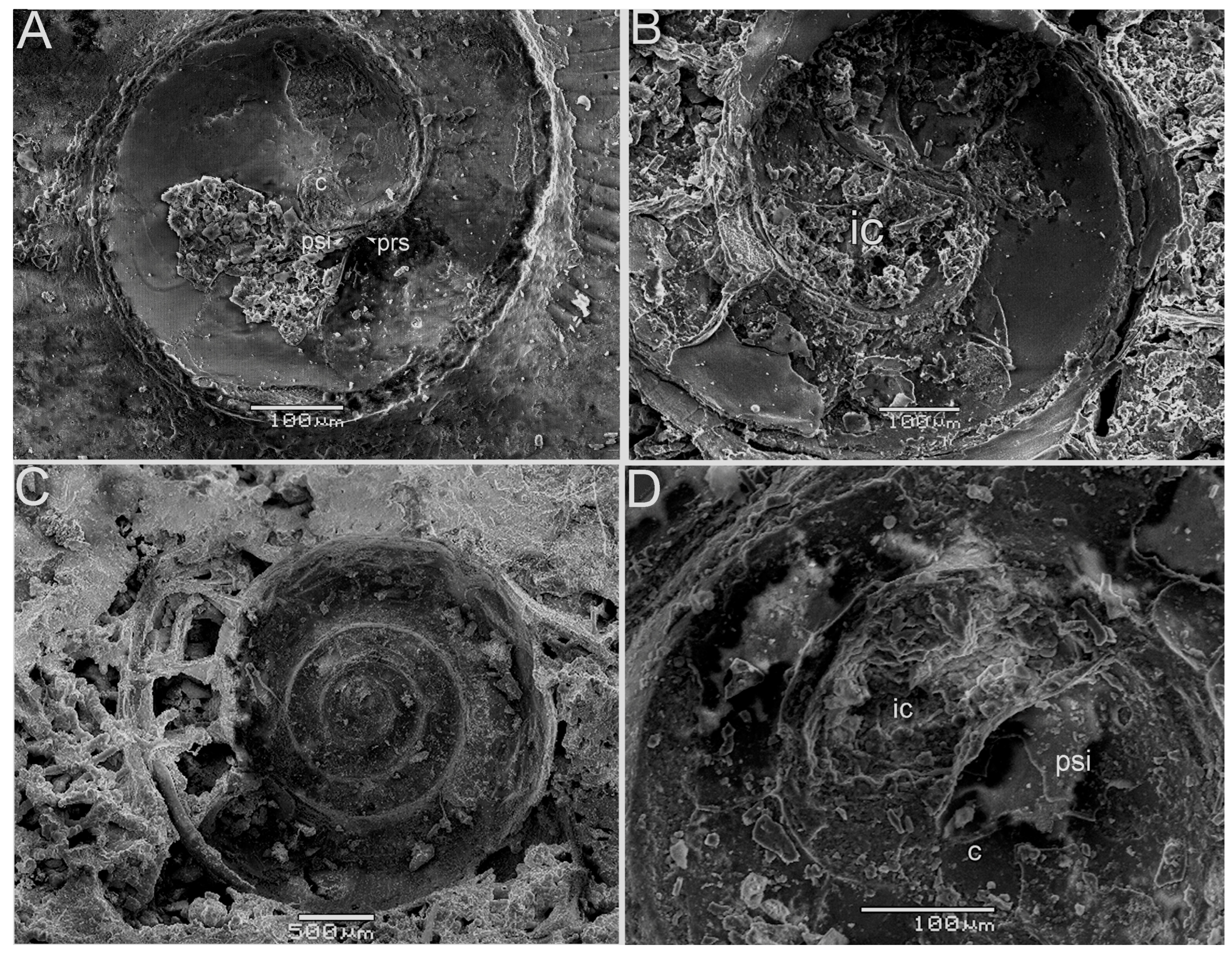 Fossstud 02 00011 g007 Fossstud 02 00011 g007