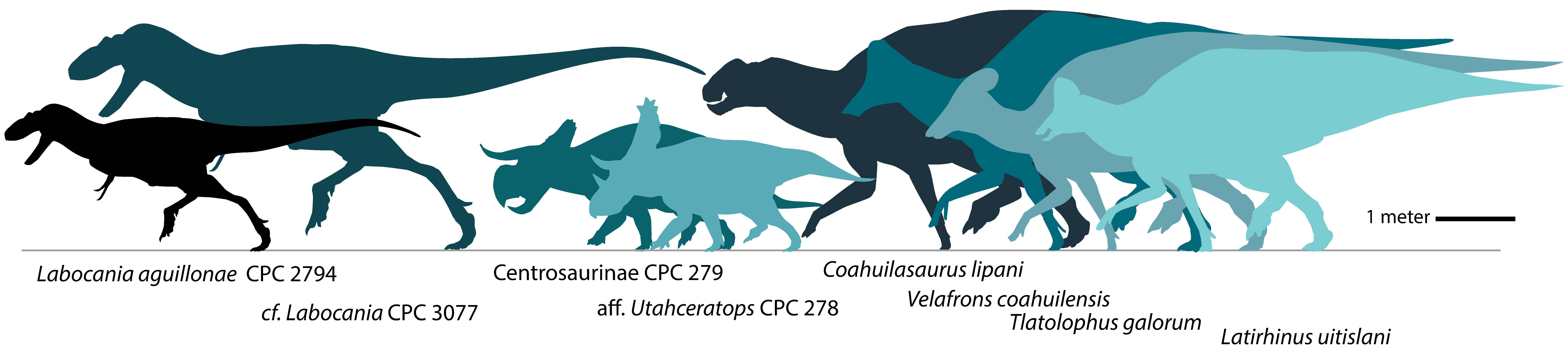 Fossstud 02 00012 g014