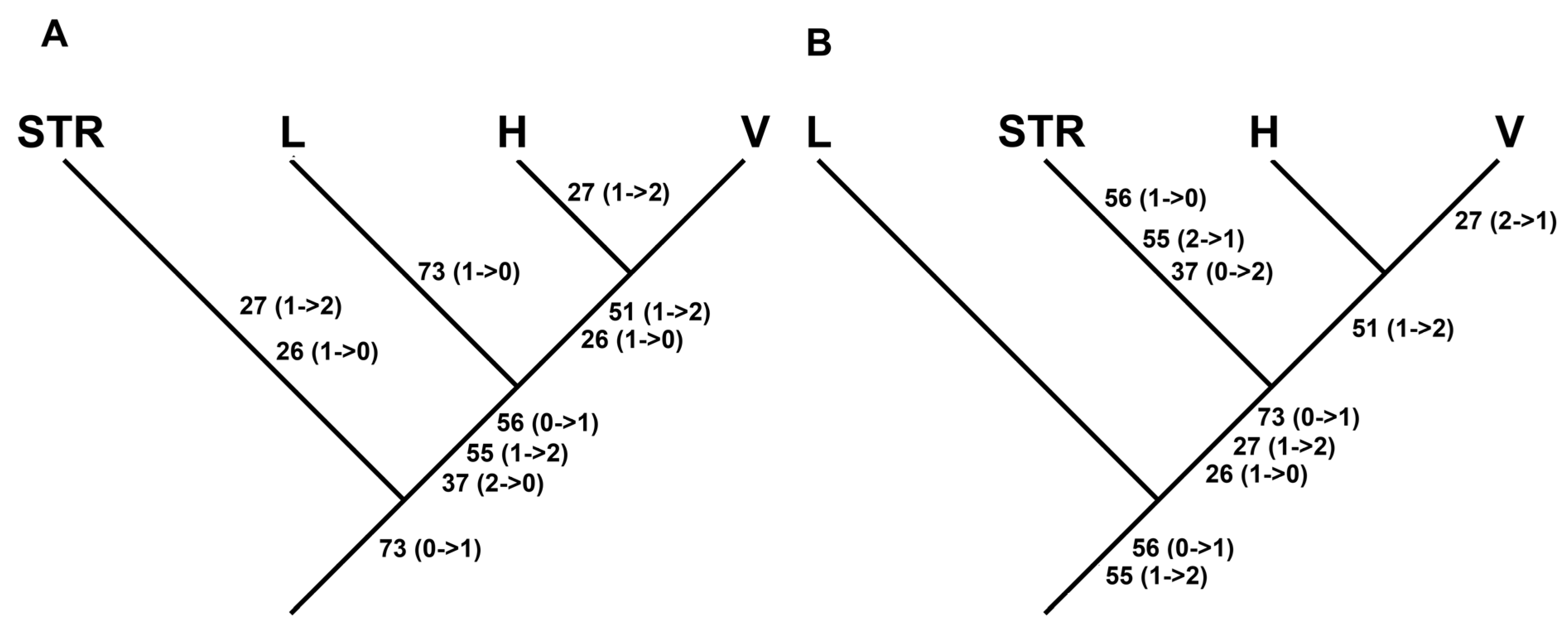 Fossstud 02 00014 g011 Fossstud 02 00014 g011