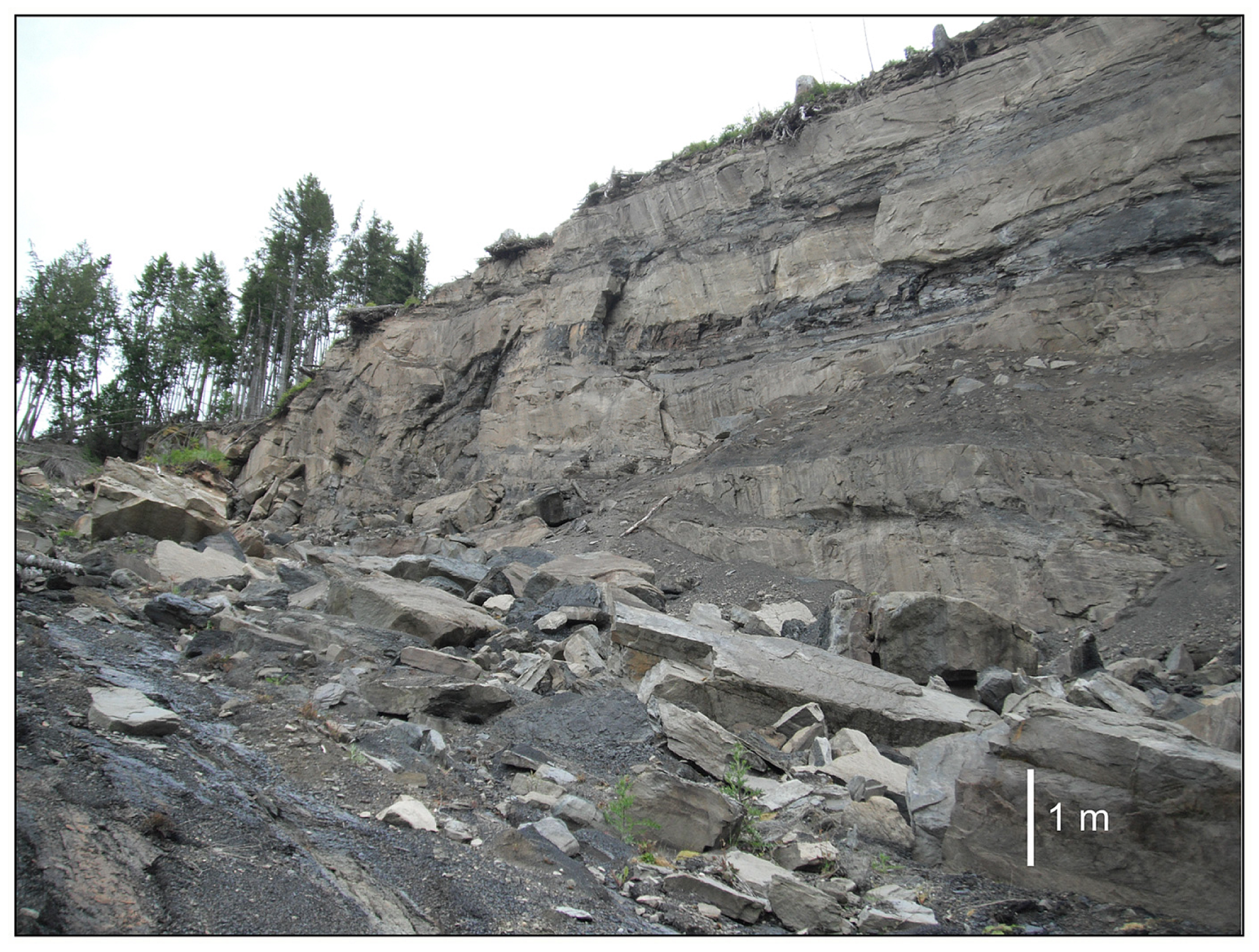 Fossstud 03 00004 g004