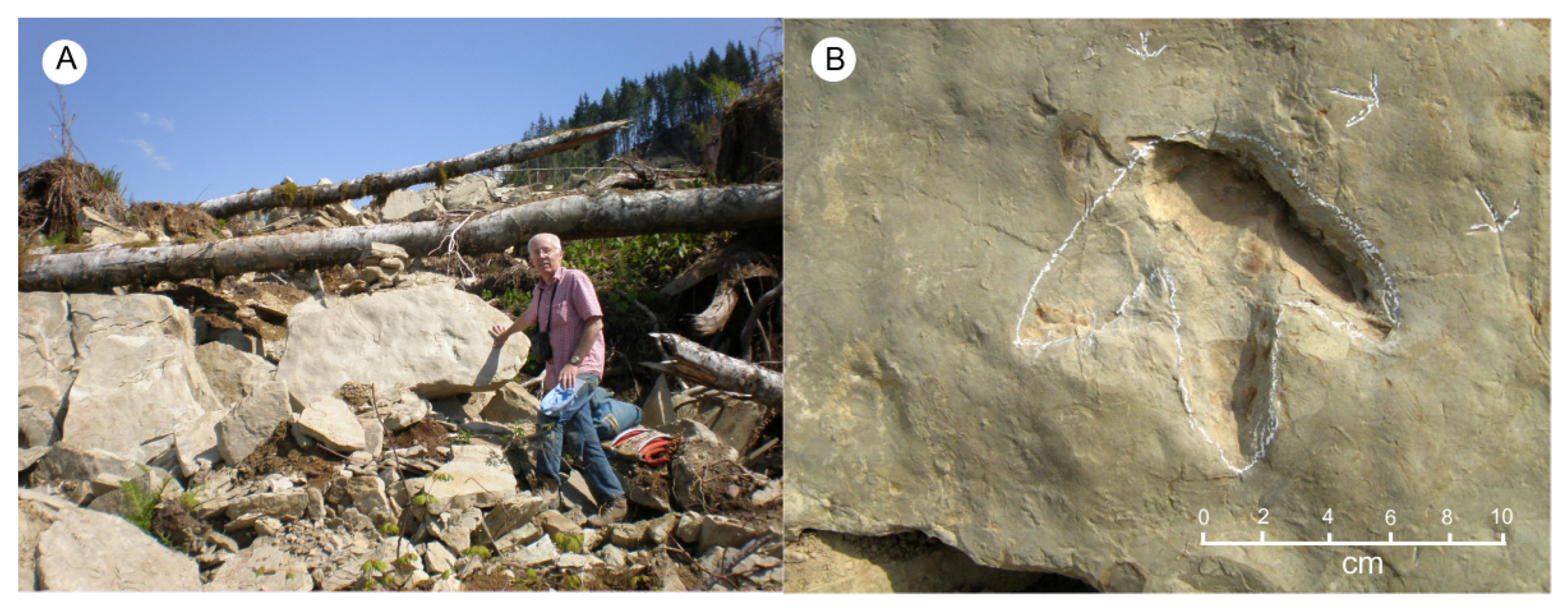 Fossstud 03 00004 g005