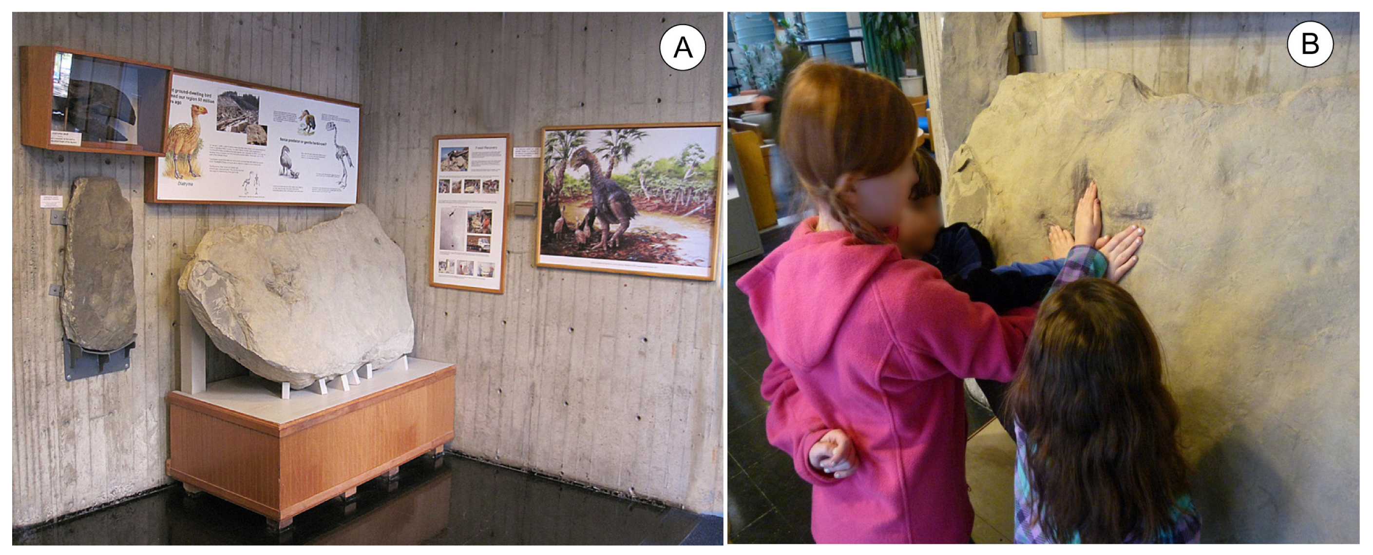 Fossstud 03 00004 g006