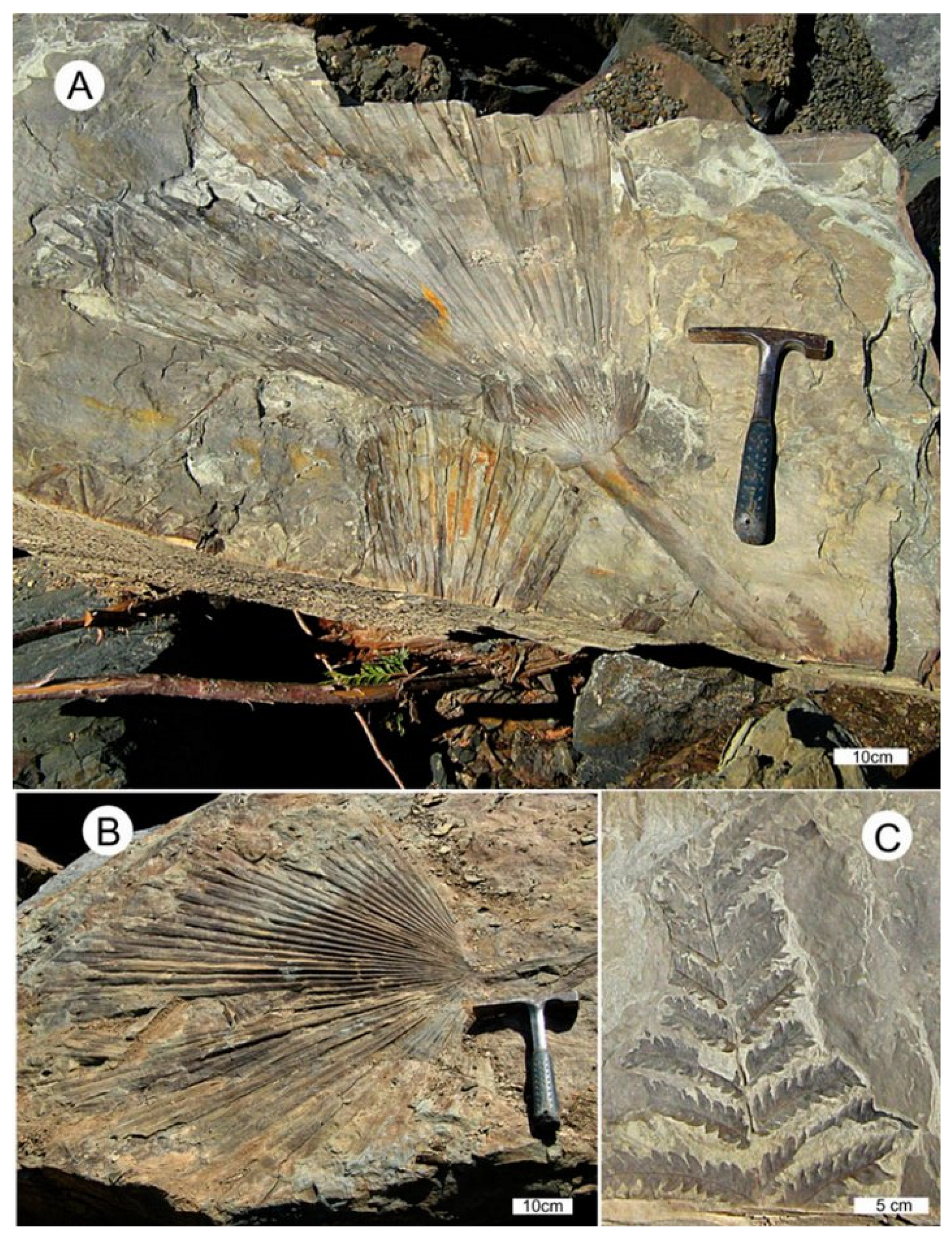 Fossstud 03 00004 g012