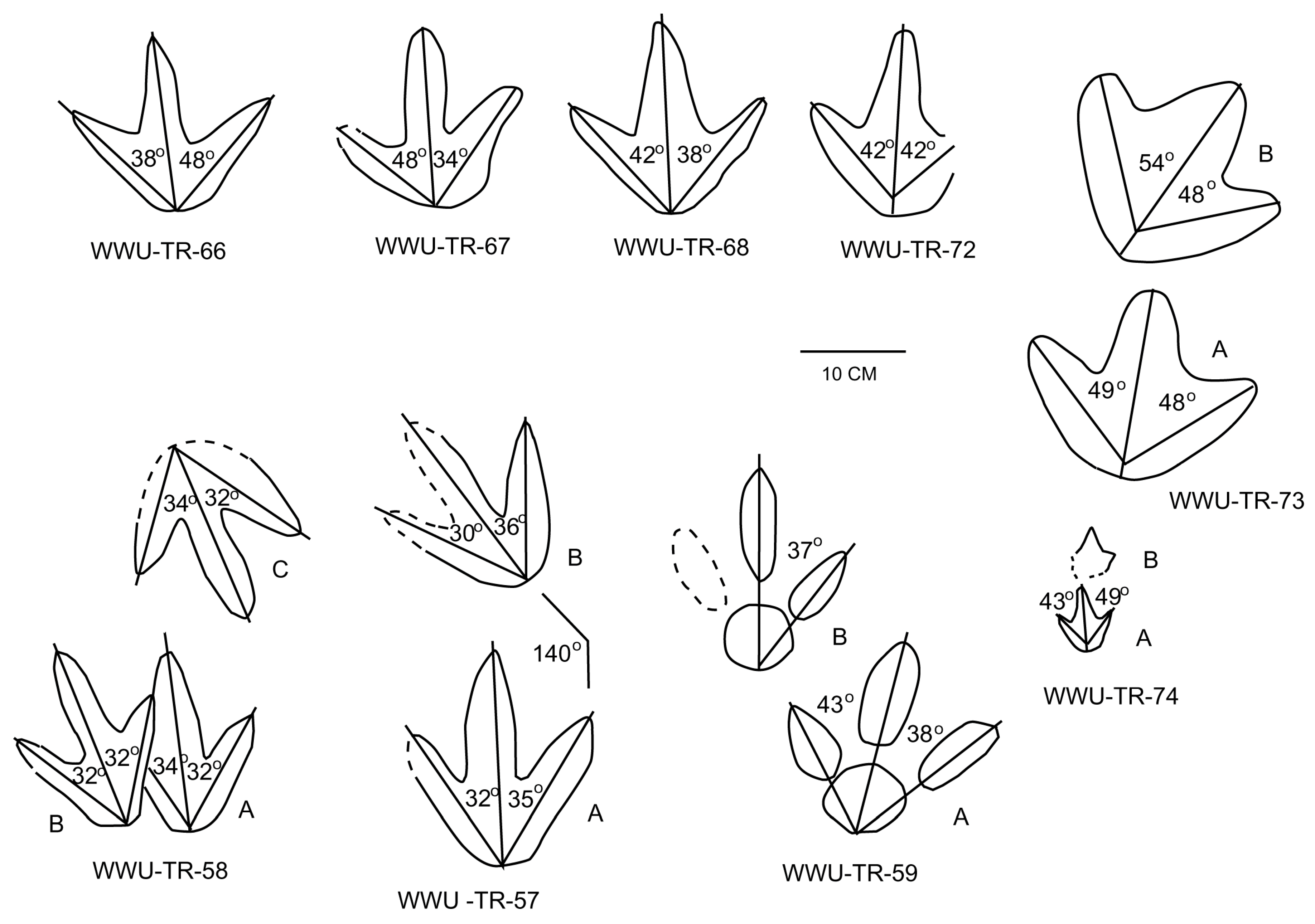 Fossstud 03 00004 g014