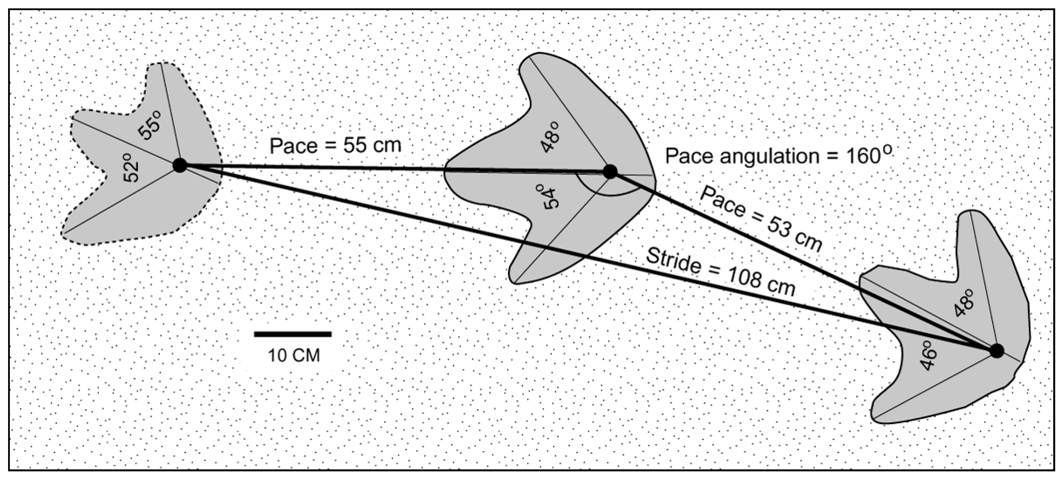 Fossstud 03 00004 g015