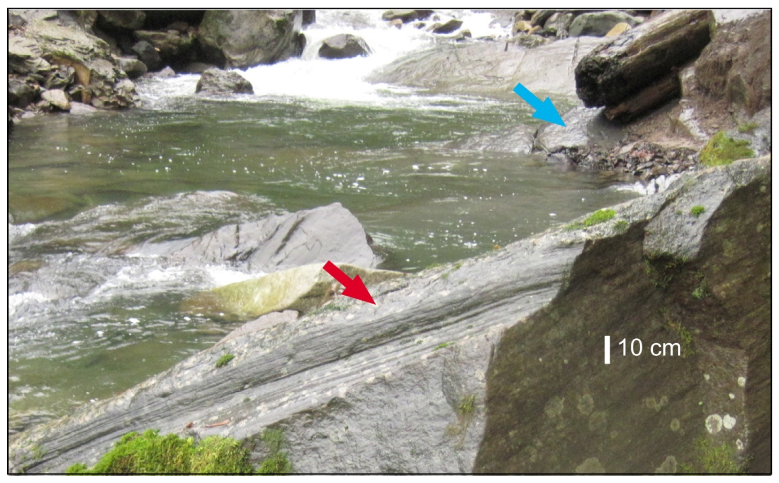 Fossstud 03 00004 g017