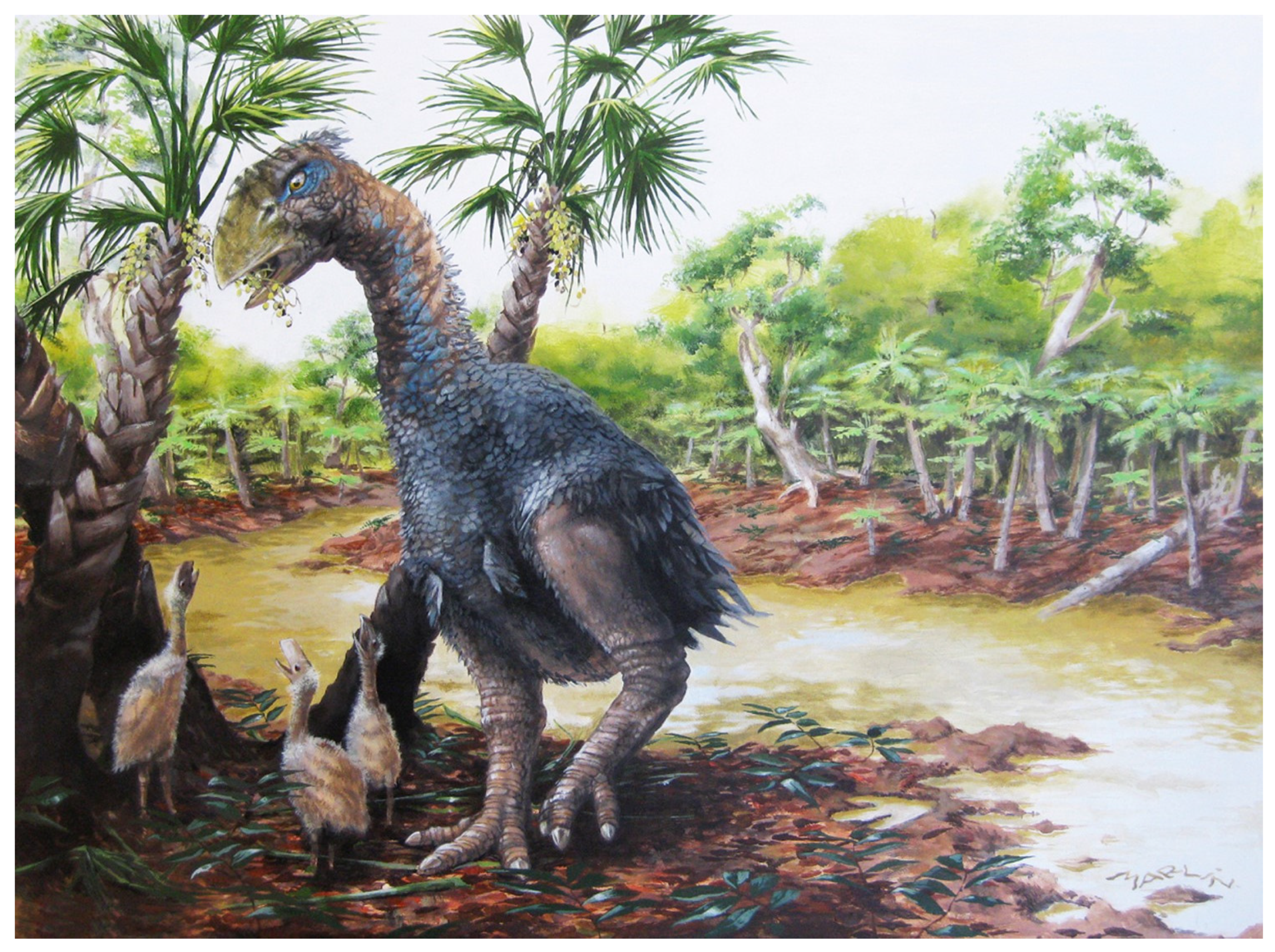 Fossstud 03 00004 g018