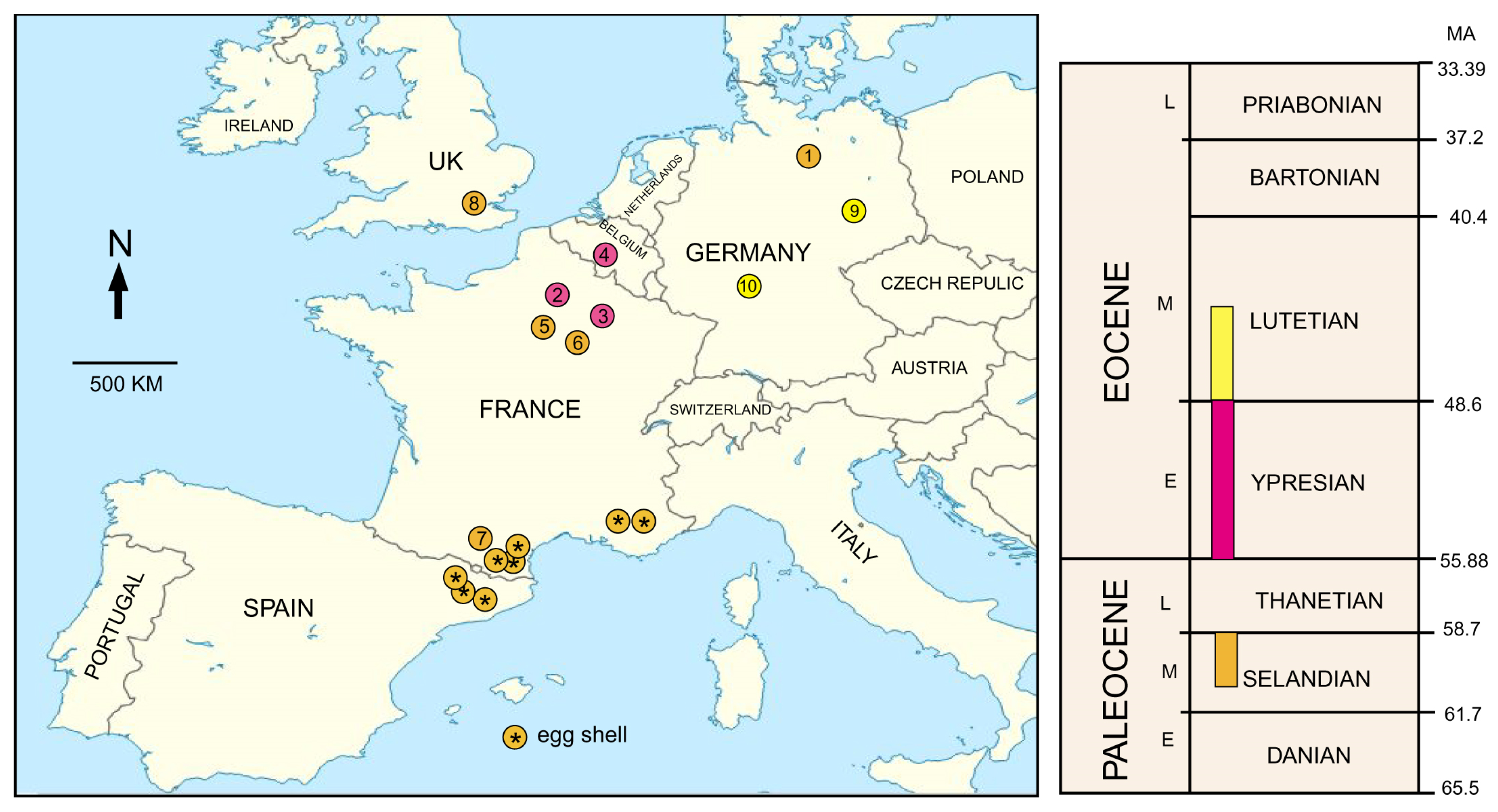 Fossstud 03 00004 g019