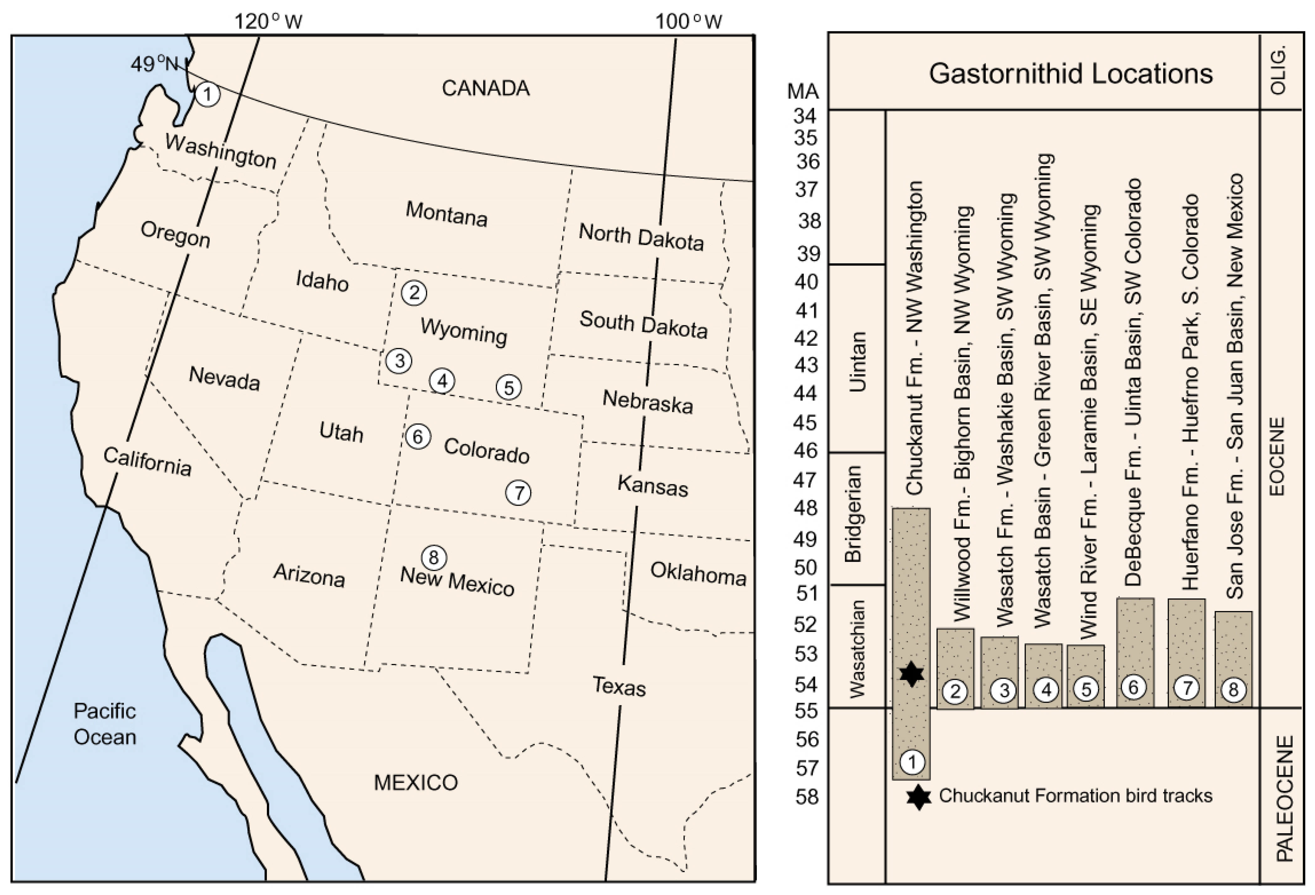 Fossstud 03 00004 g020