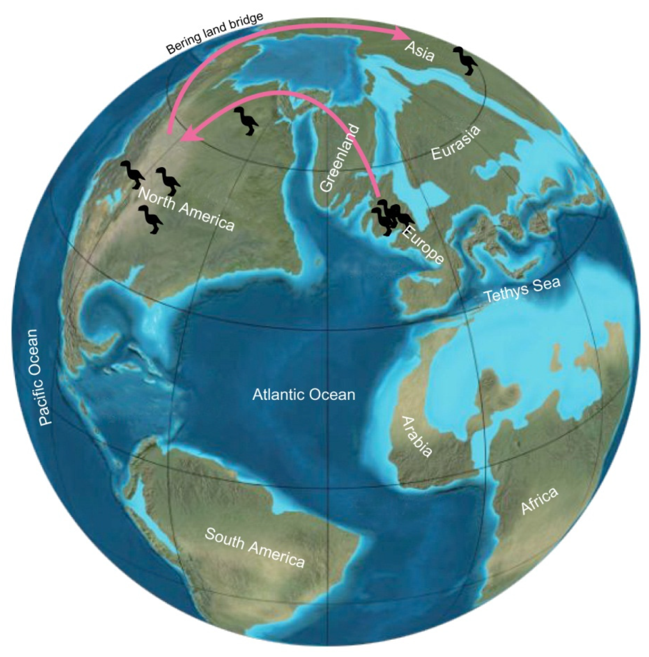 Fossstud 03 00004 g021