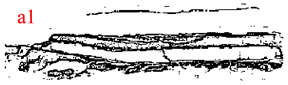 Fractalfract 06 00486 i001
