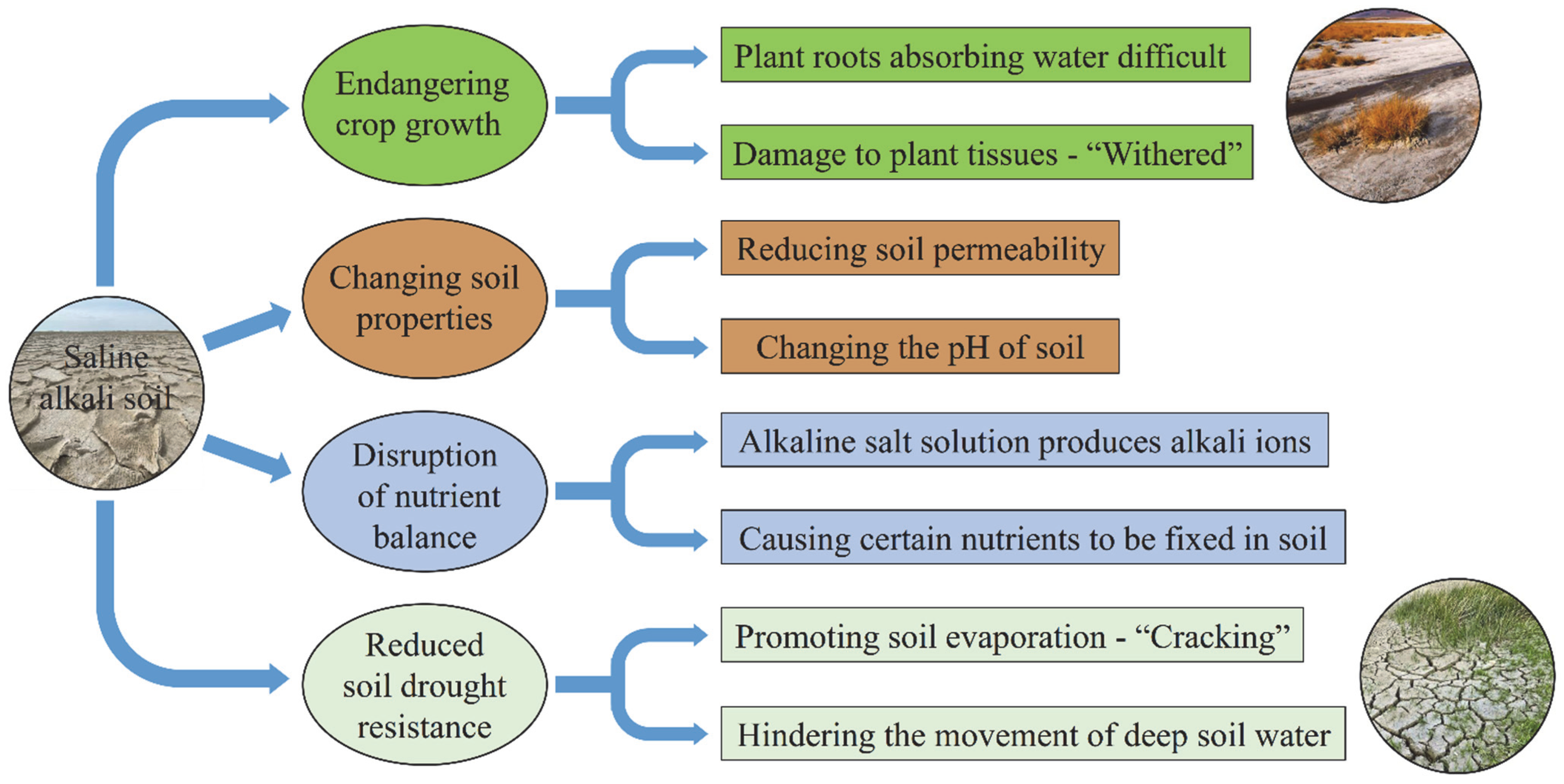 Fractalfract 06 00504 g001