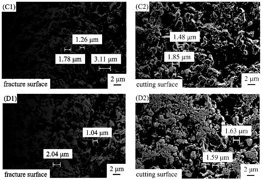 Fractalfract 06 00574 g005b Fractalfract 06 00574 g005b