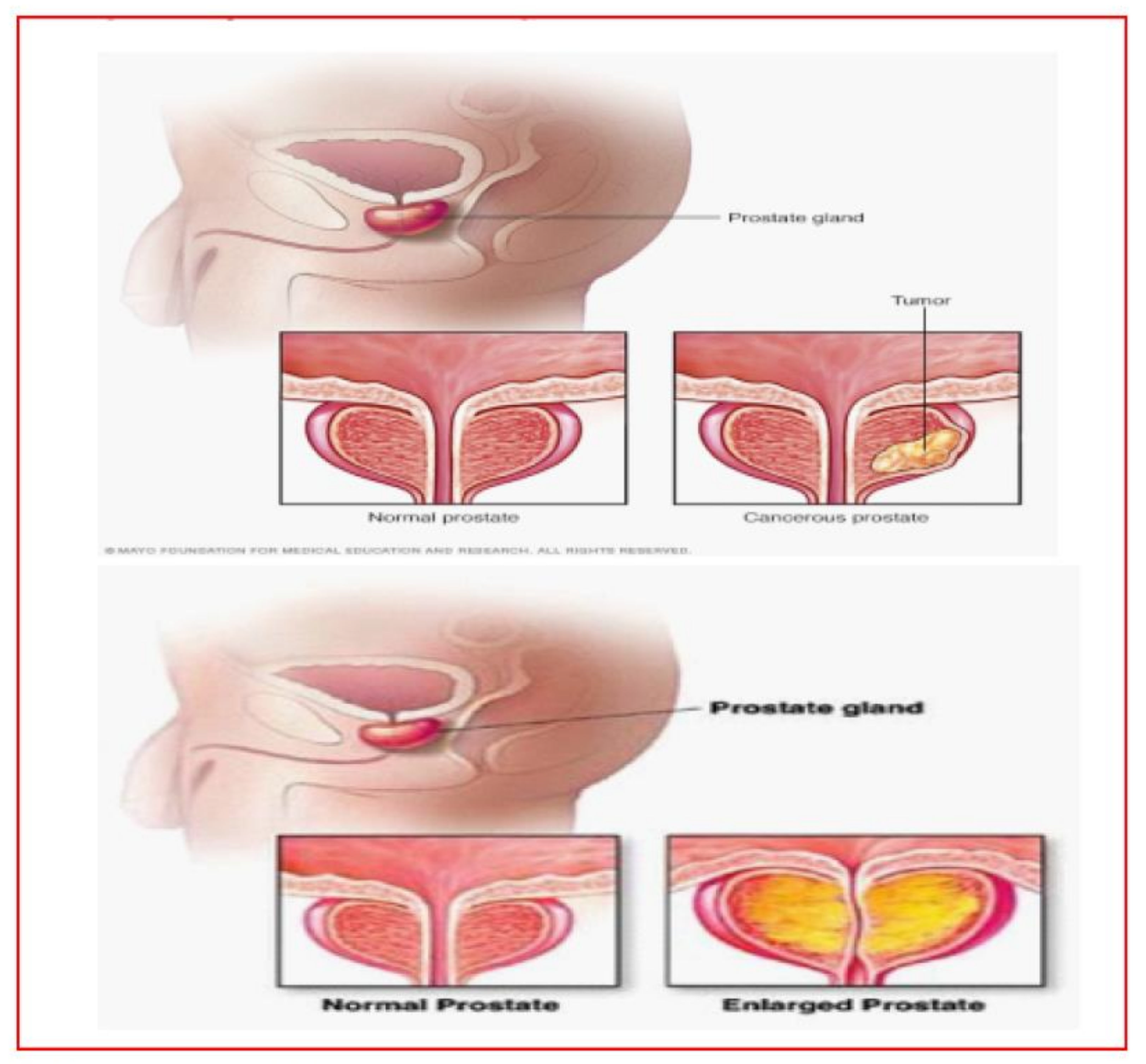 Fractalfract 06 00648 g002