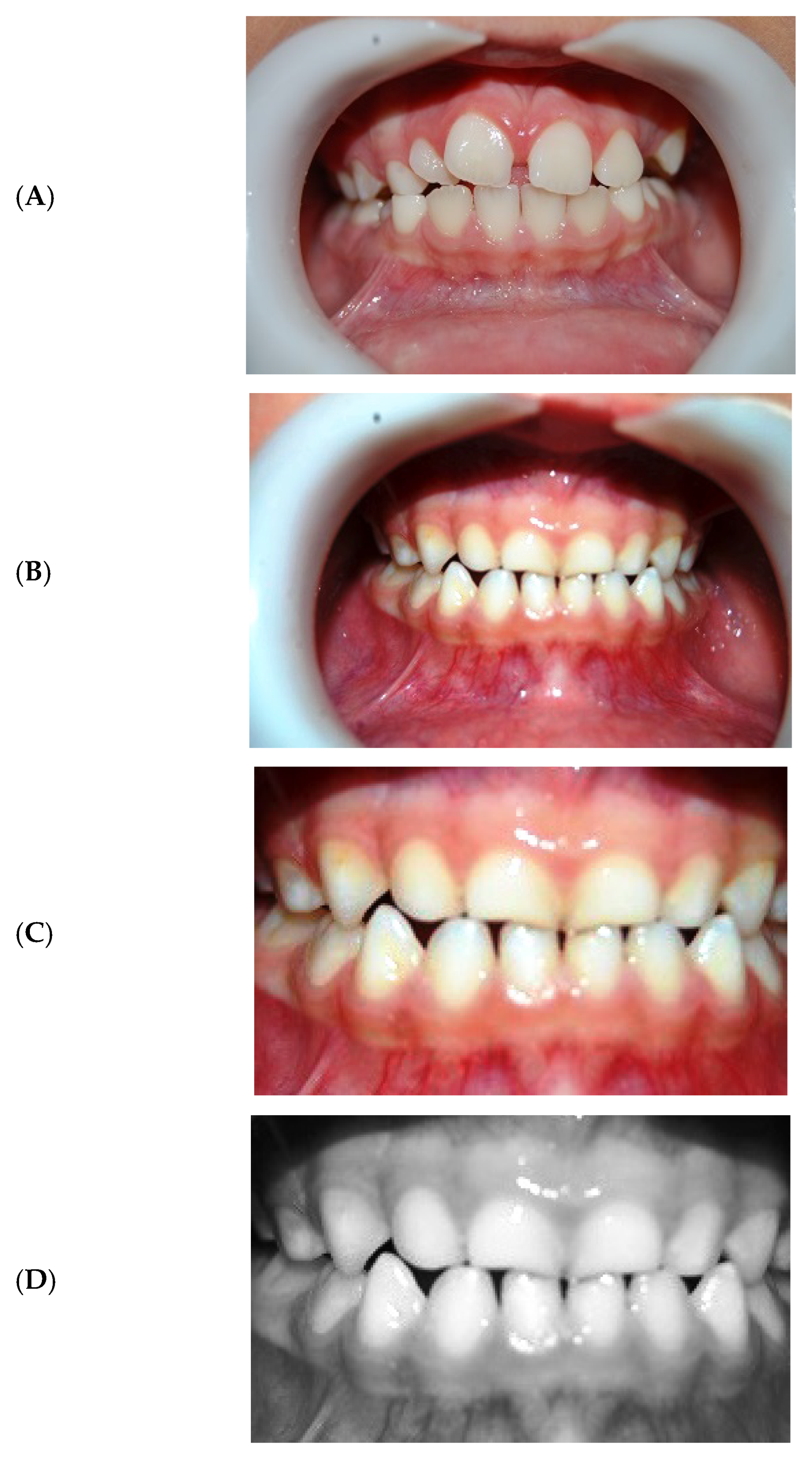 Fractalfract 06 00669 g005 Fractalfract 06 00669 g005