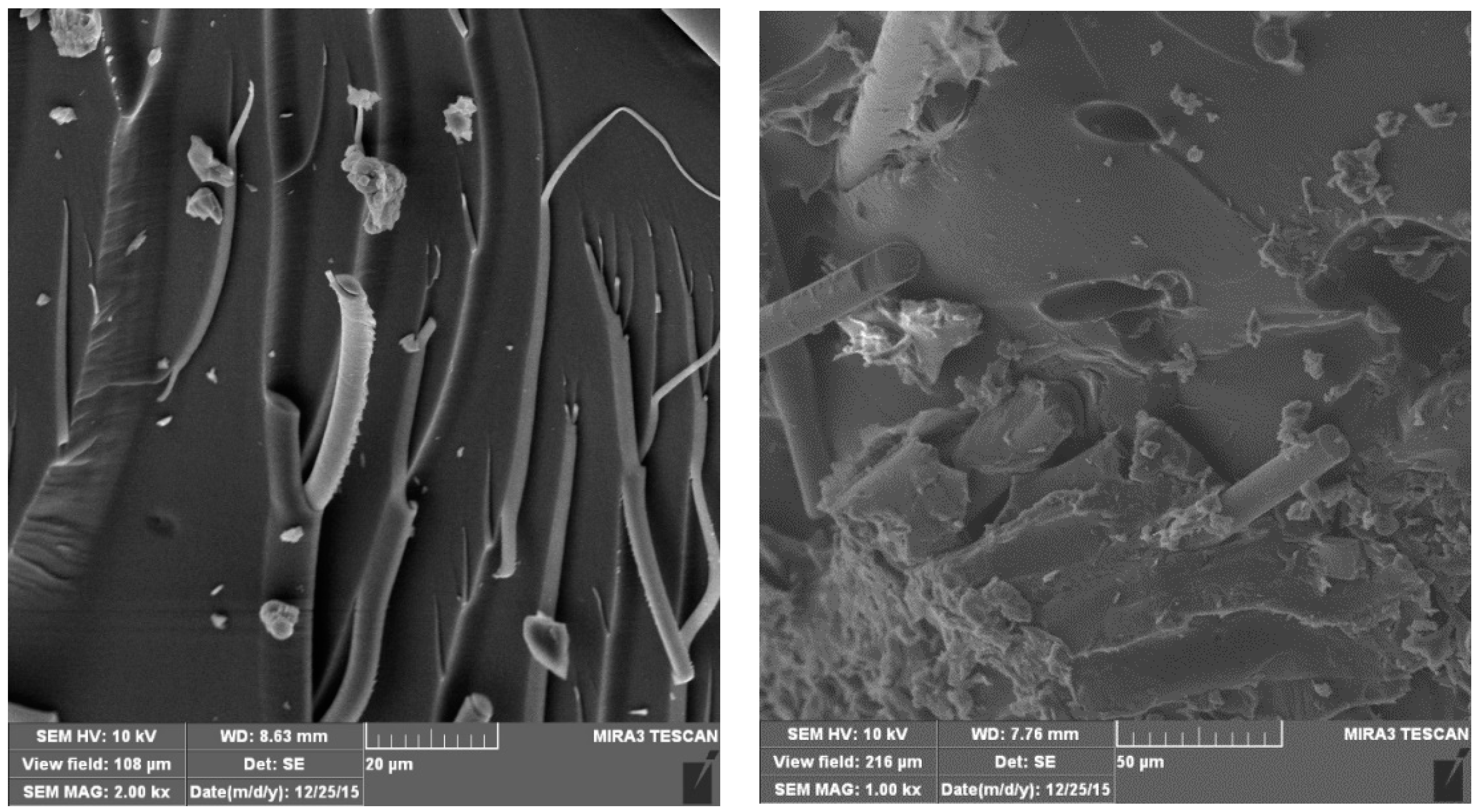 Fractalfract 06 00741 g002 Fractalfract 06 00741 g002