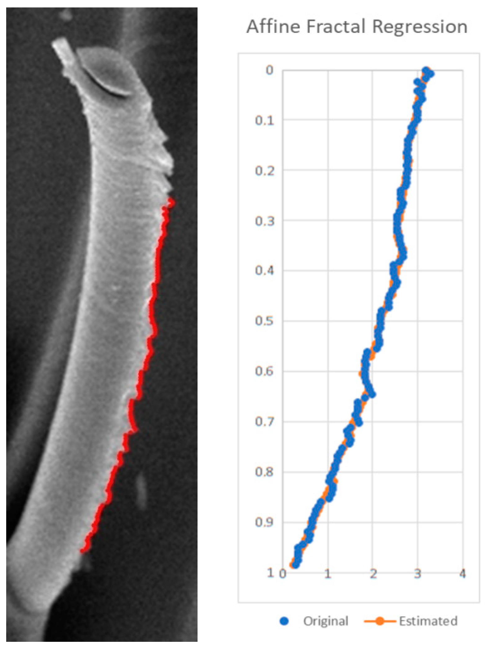 Fractalfract 06 00741 g003 Fractalfract 06 00741 g003