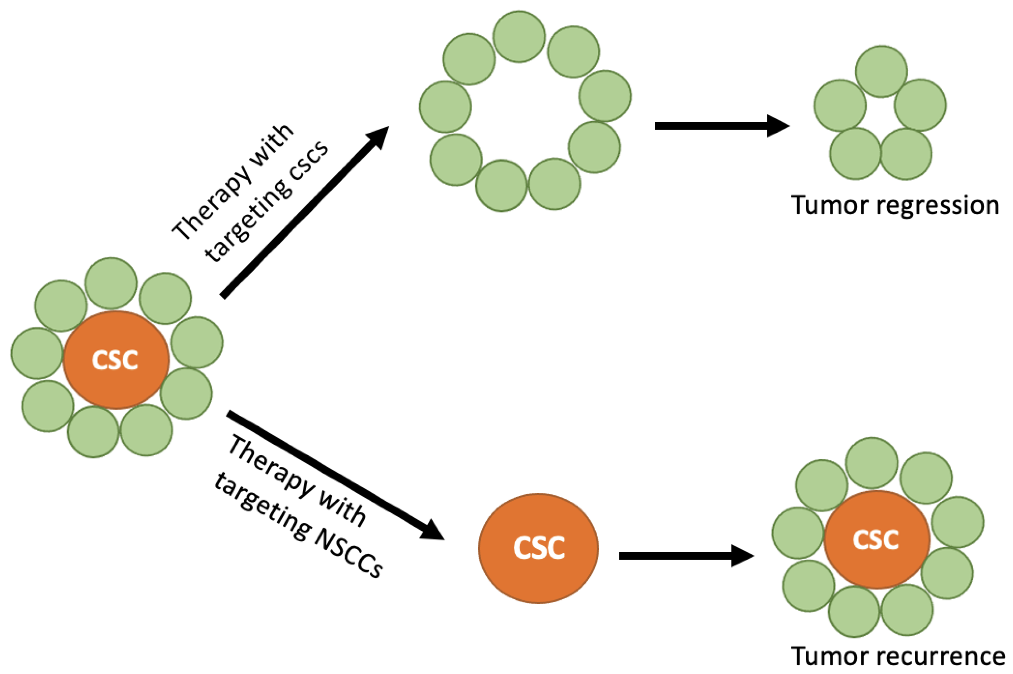 Fractalfract 07 00027 g001 Fractalfract 07 00027 g001