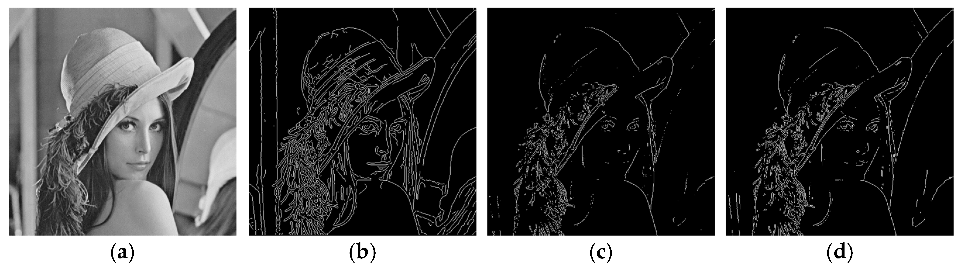 Fractalfract 07 00420 g002 Fractalfract 07 00420 g002