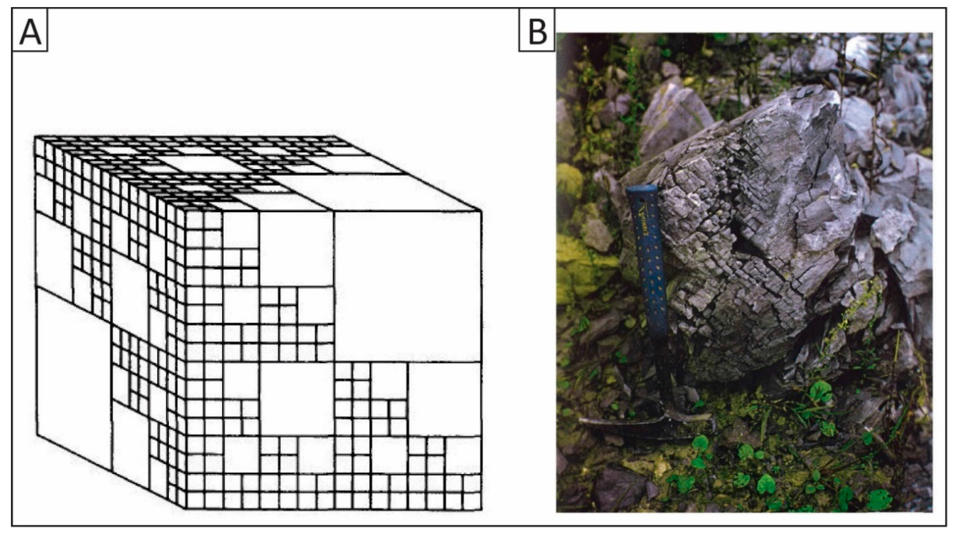 Fractalfract 07 00676 g003 Fractalfract 07 00676 g003