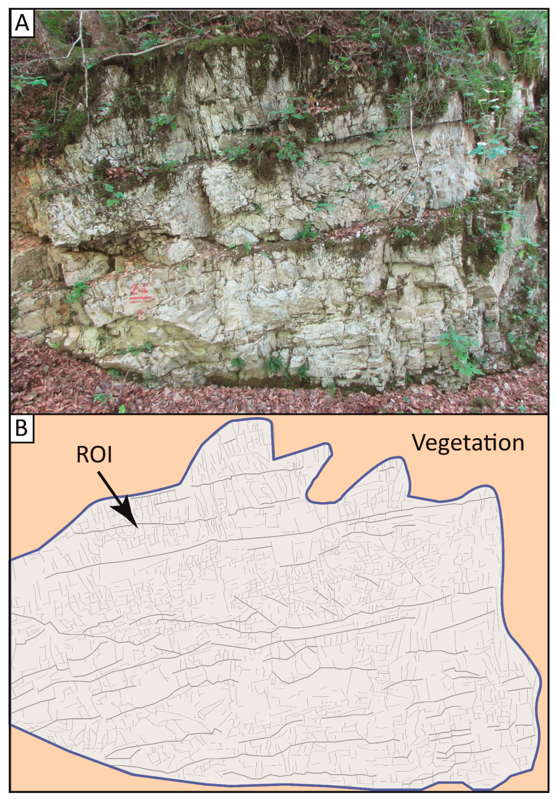 Fractalfract 07 00676 g006 Fractalfract 07 00676 g006