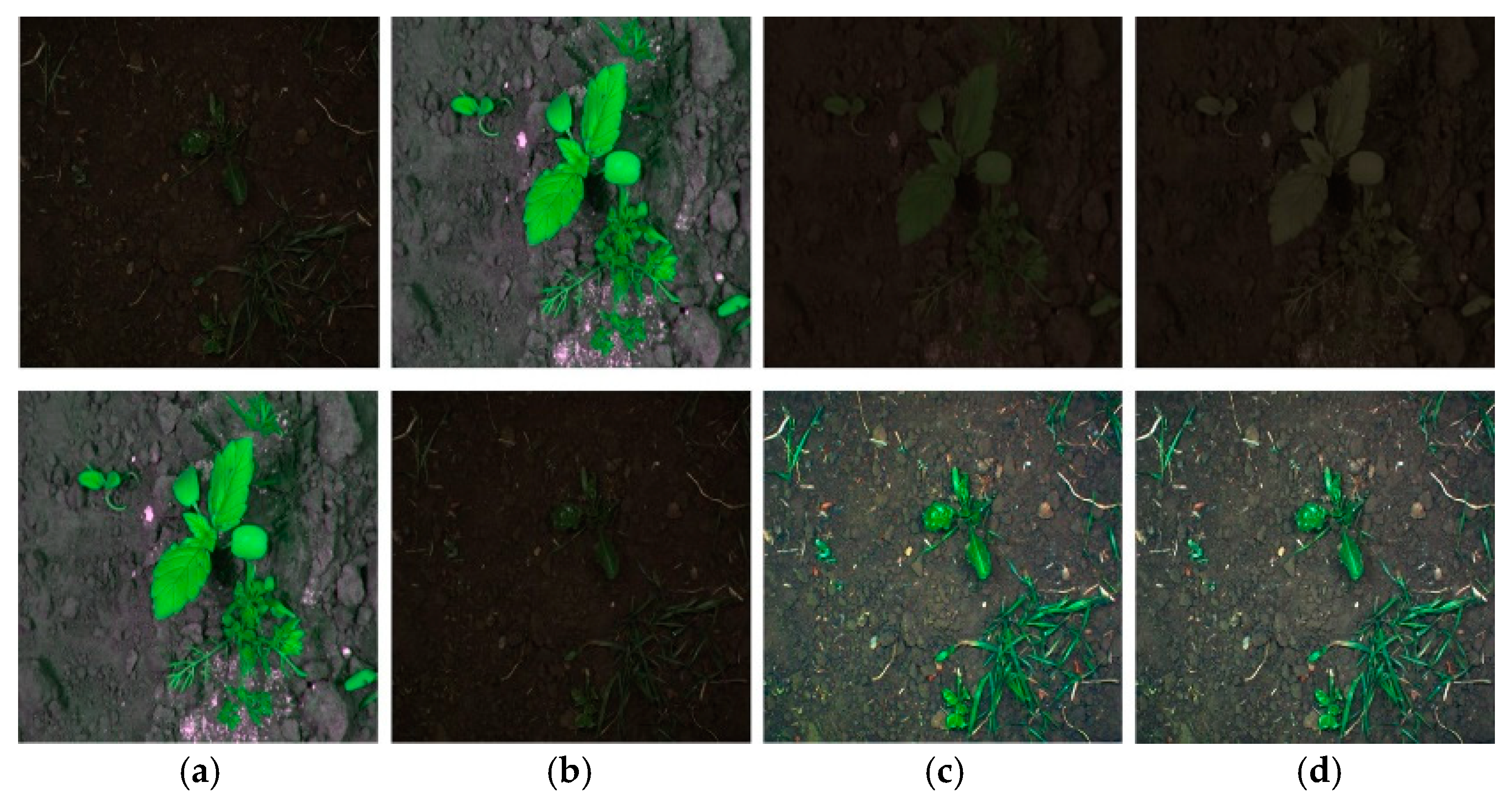 Fractalfract 08 00285 g004
