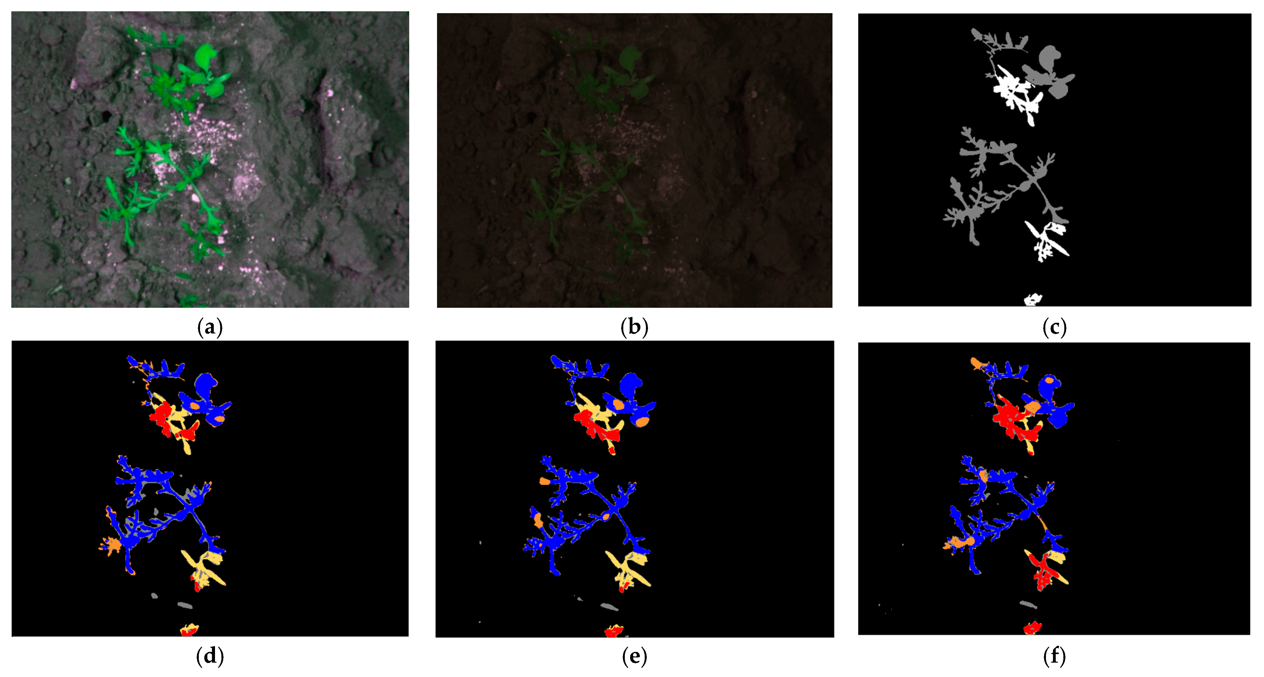 Fractalfract 08 00285 g010