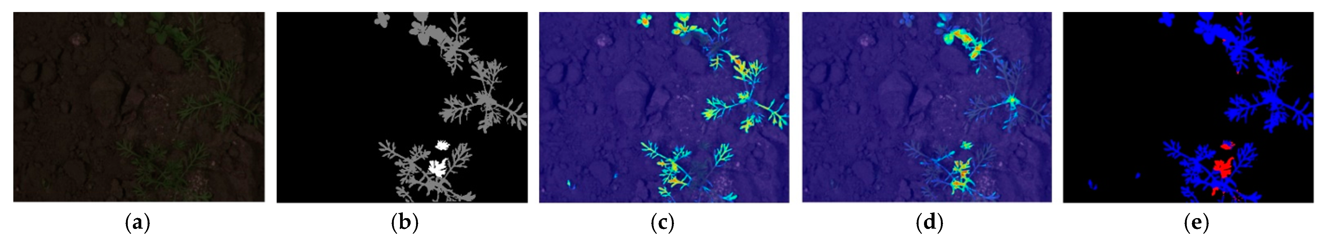 Fractalfract 08 00285 g017