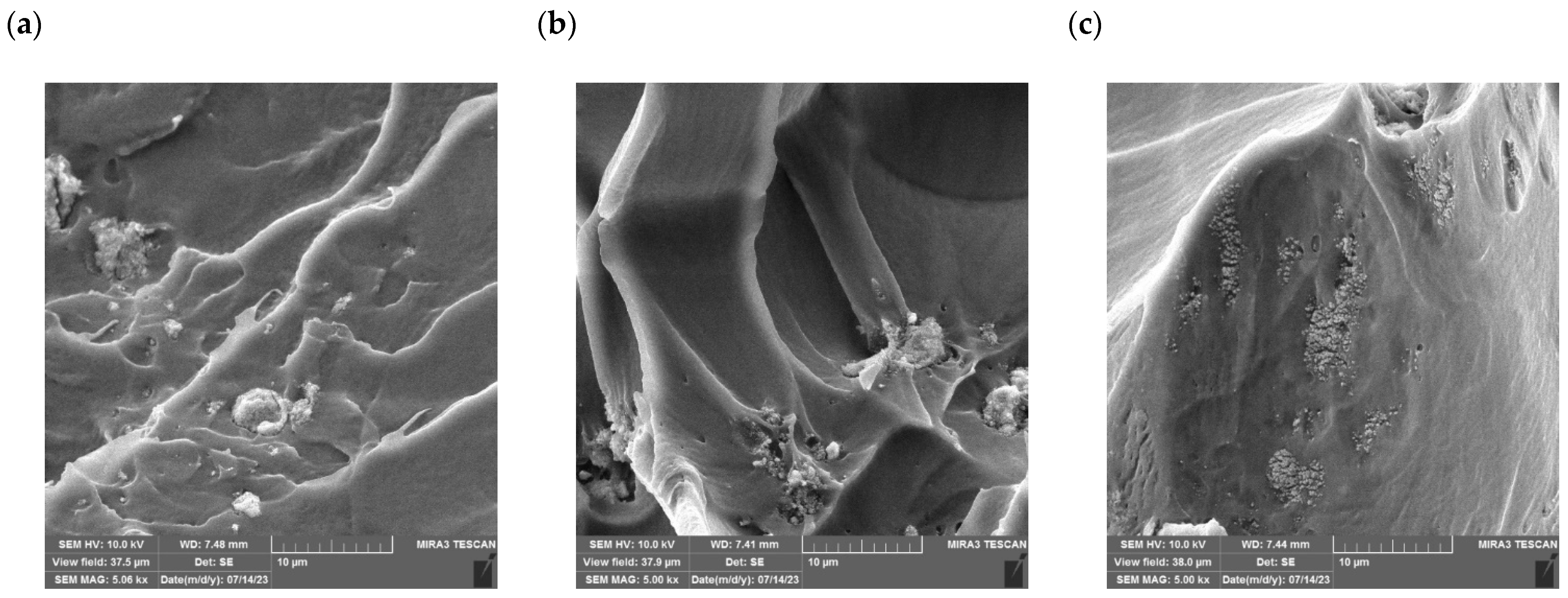 Fractalfract 08 00314 g002