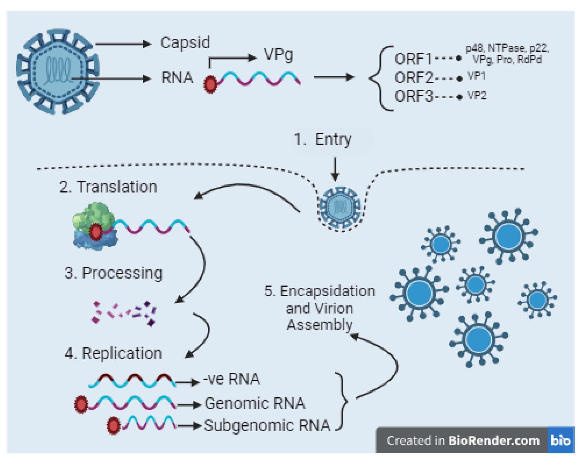 Fractalfract 08 00586 g001