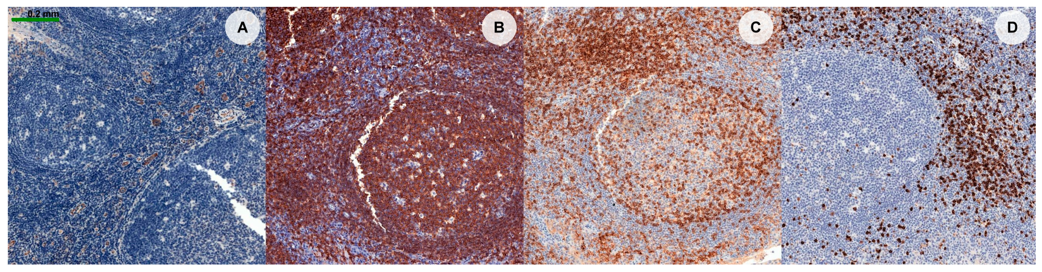Fractalfract 08 00600 g001