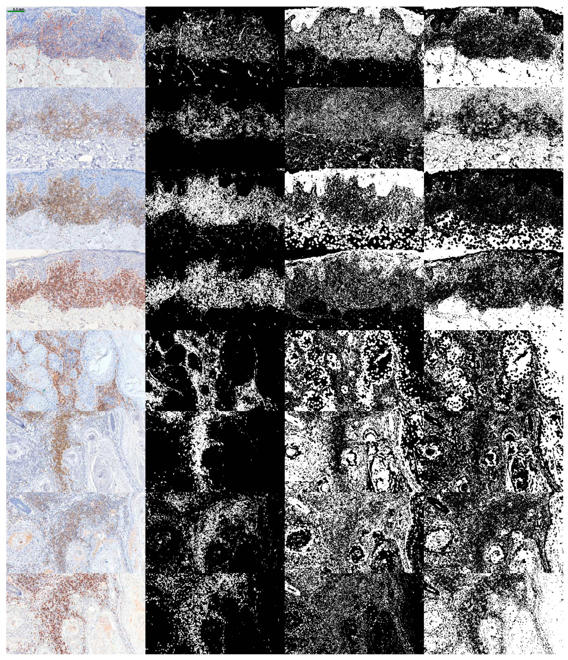 Fractalfract 08 00600 g003