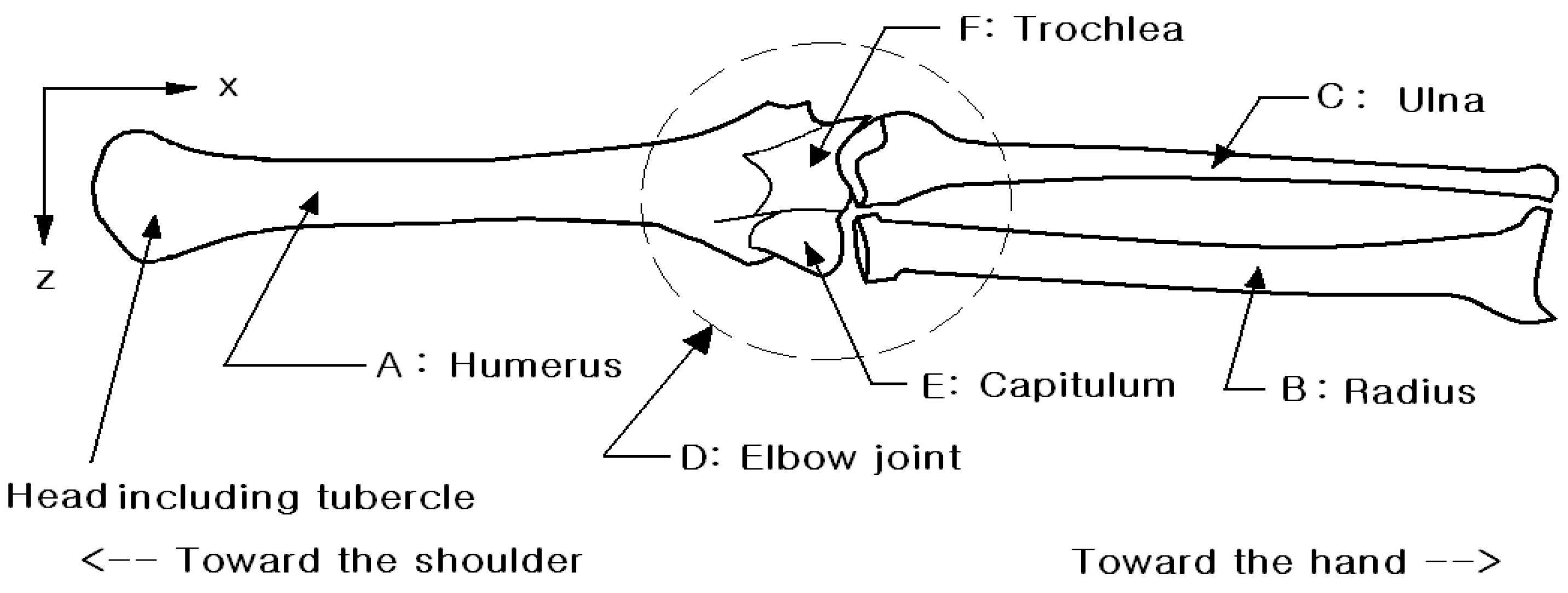 Fractalfract 08 00648 g001