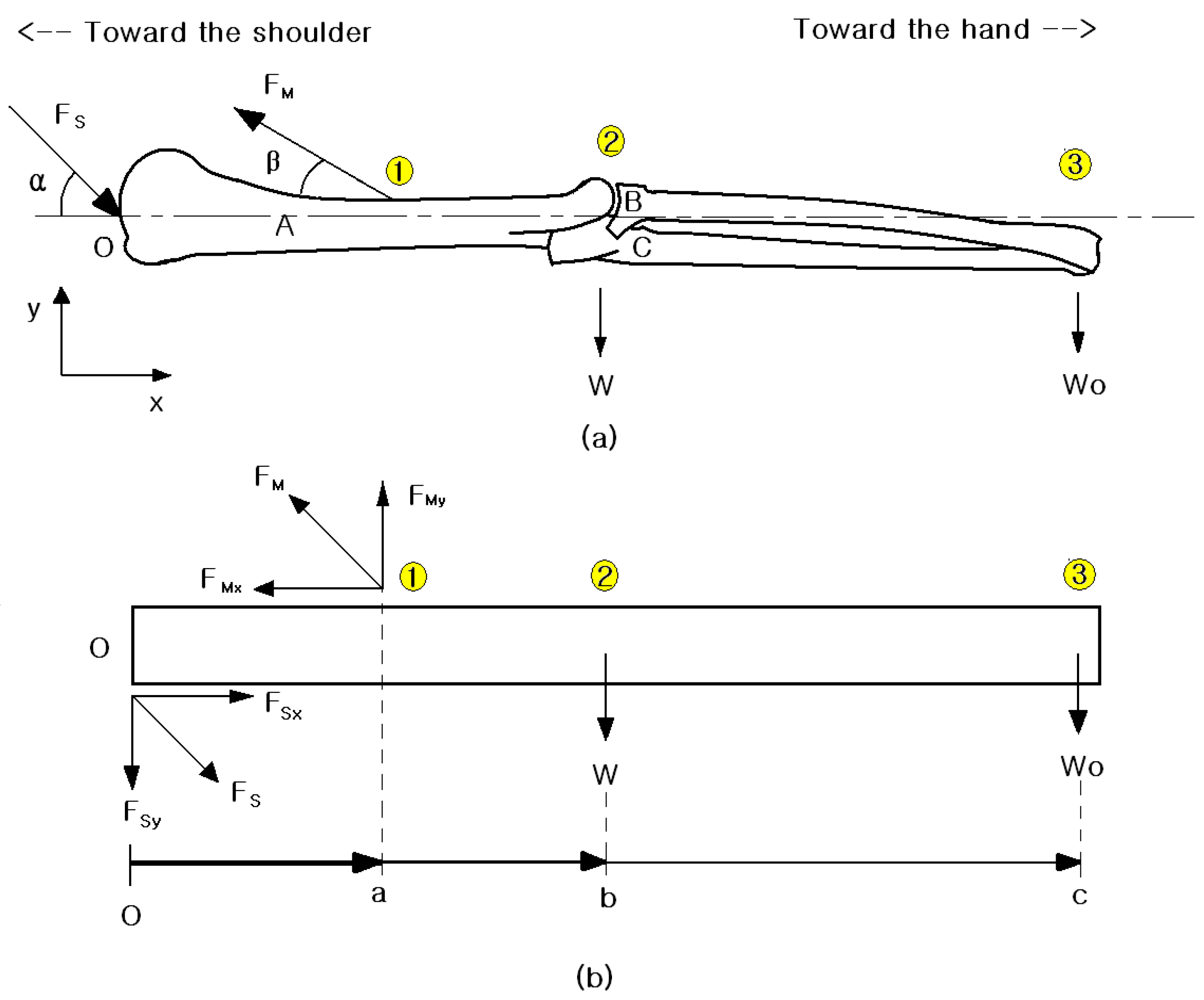 Fractalfract 08 00648 g002