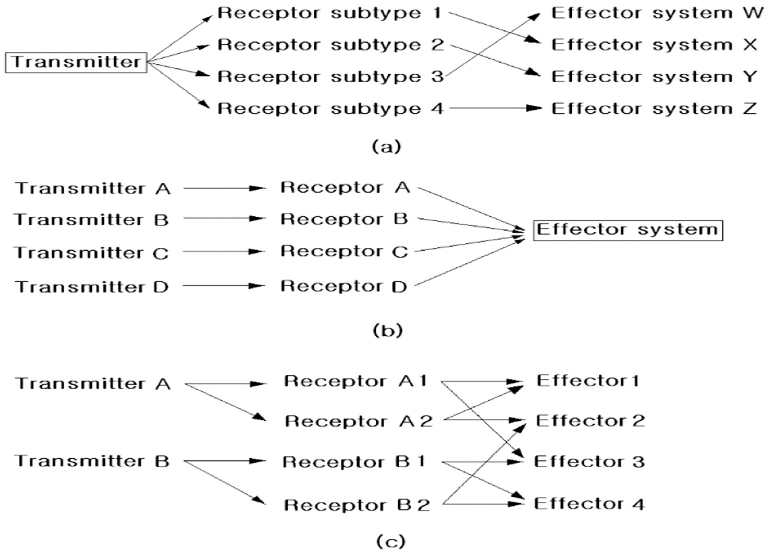 Fractalfract 08 00648 g005