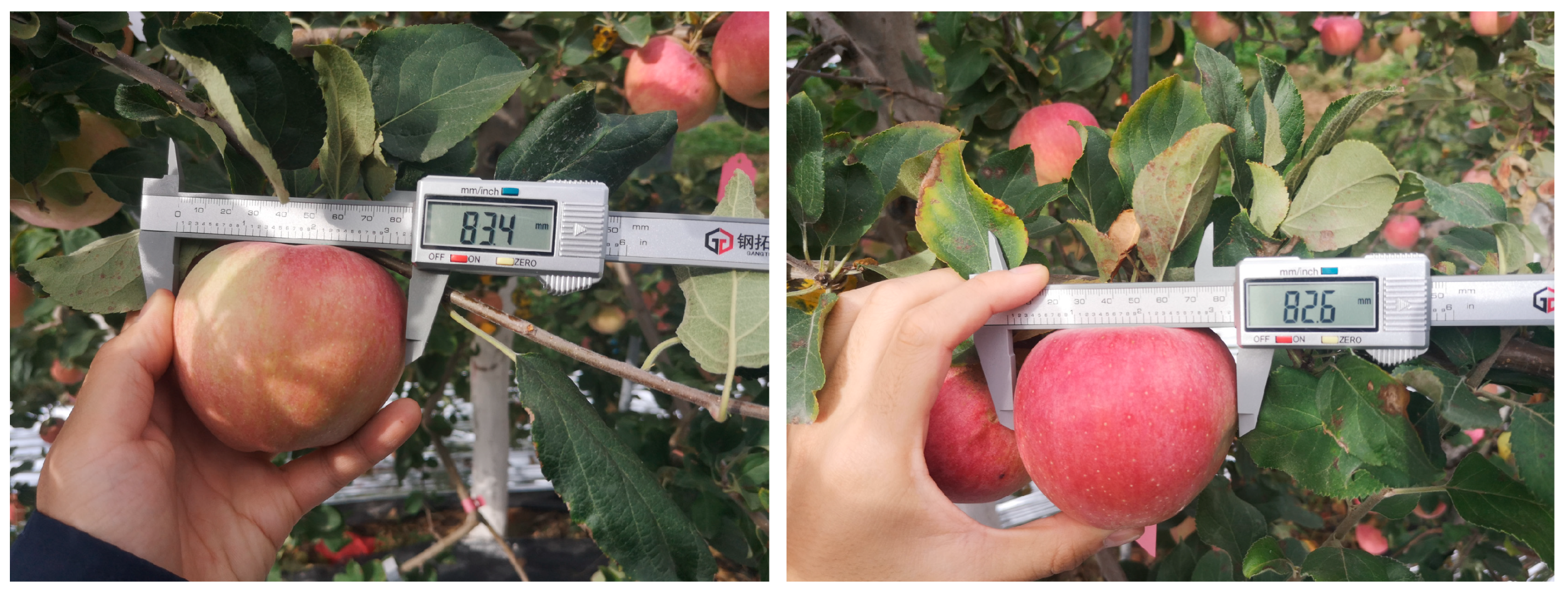 Fractalfract 08 00649 g002