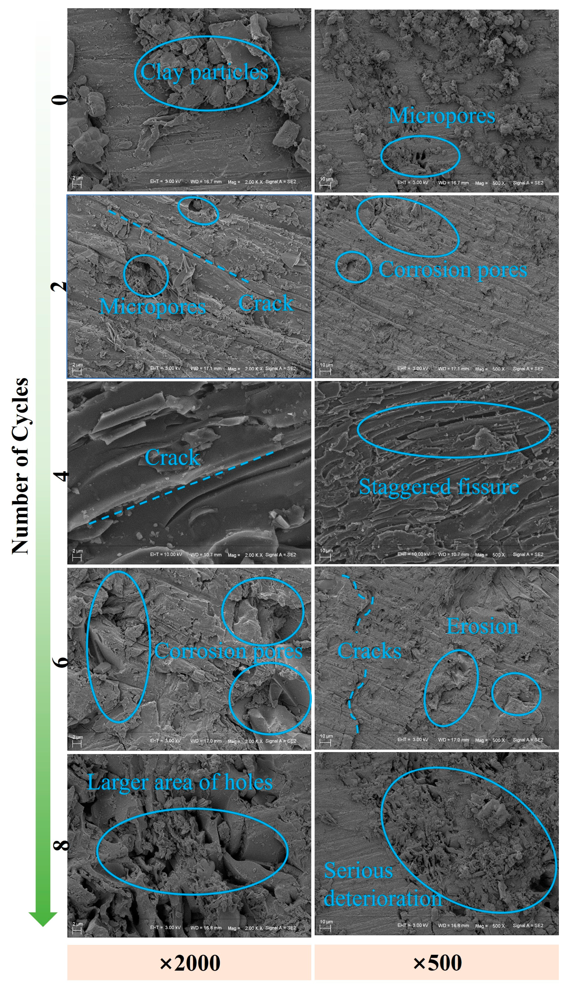 Fractalfract 09 00221 g013