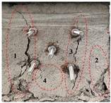 Fractalfract 09 00232 i027