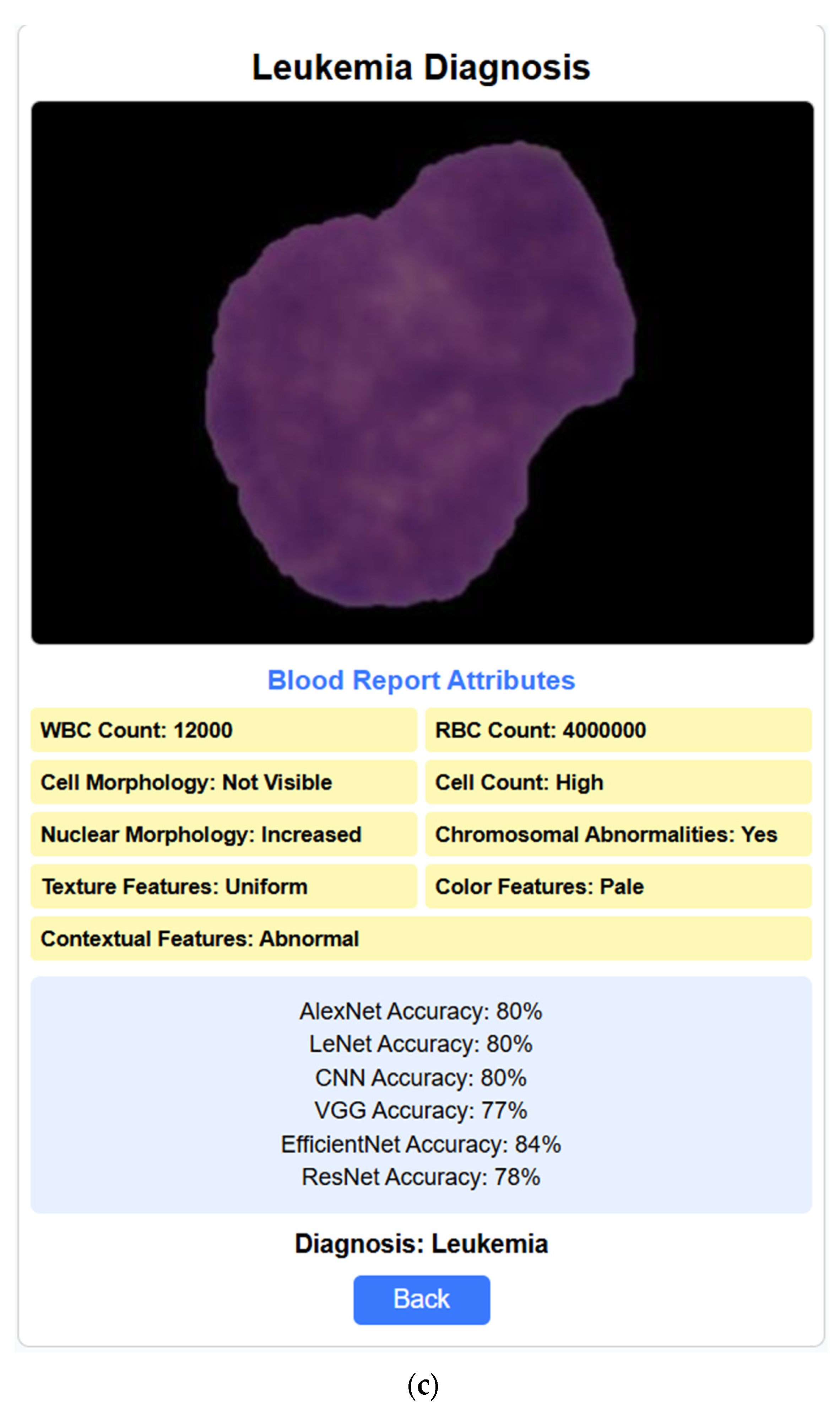 Fractalfract 09 00337 g014b