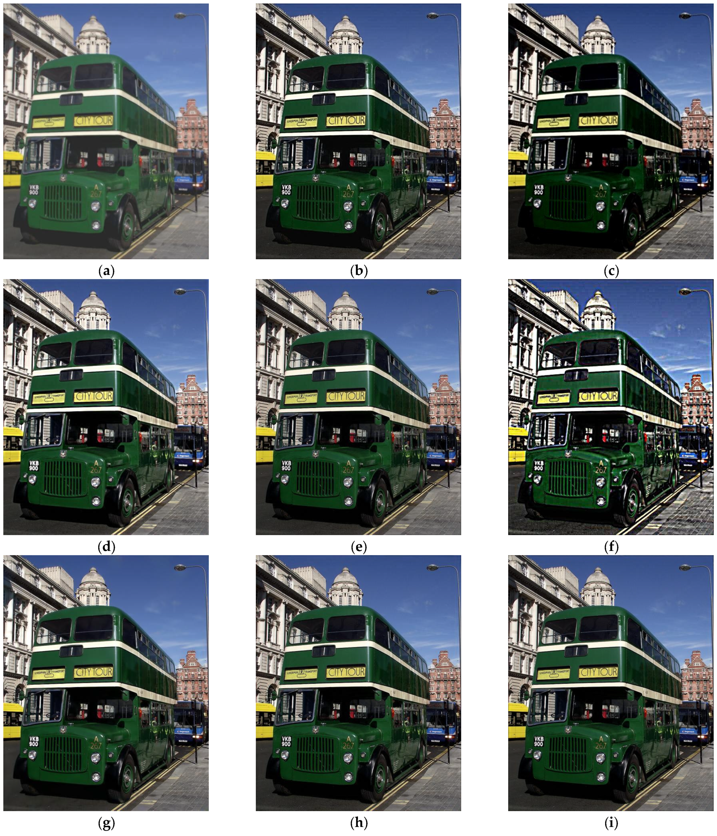 Fractalfract 09 00432 g010