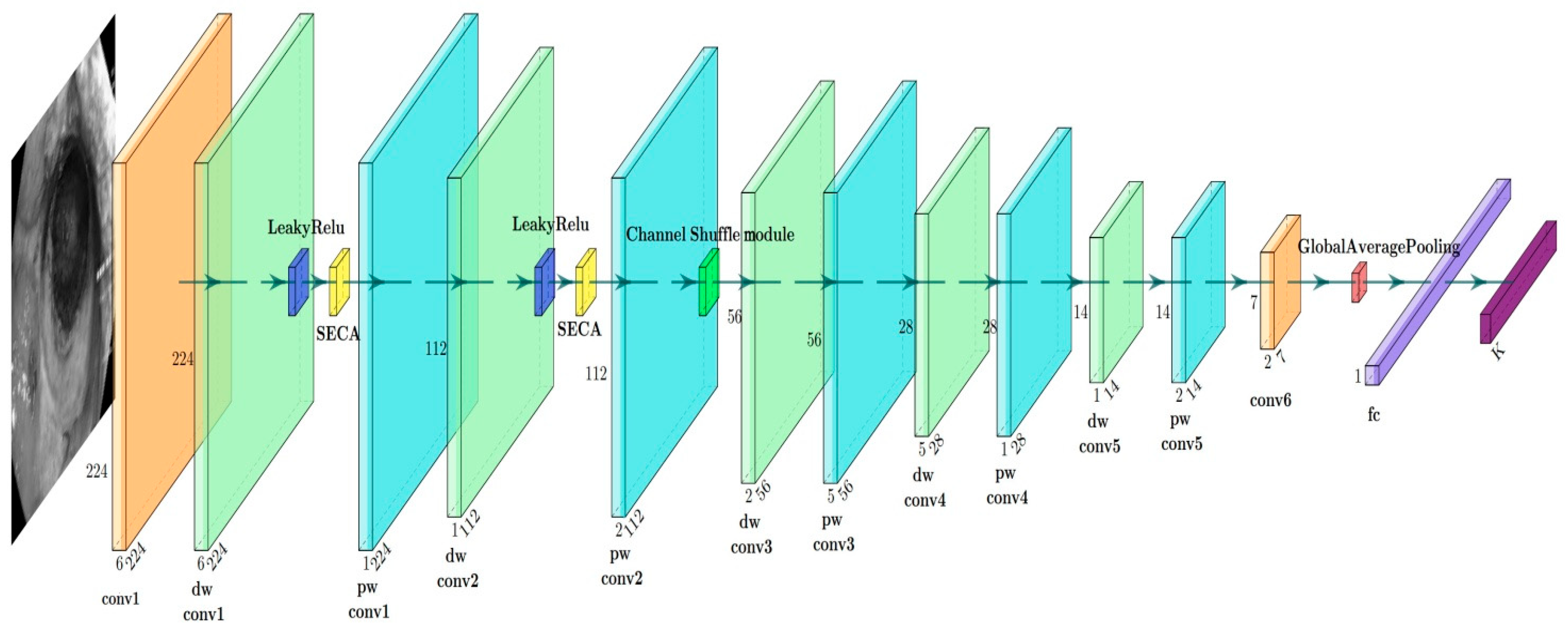 Fractalfract 09 00511 g004 Fractalfract 09 00511 g004