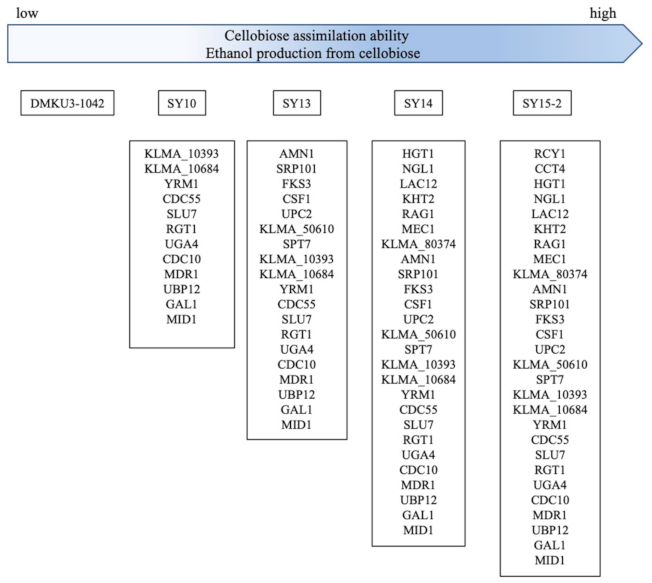 Fuels 03 00015 g003 Fuels 03 00015 g003
