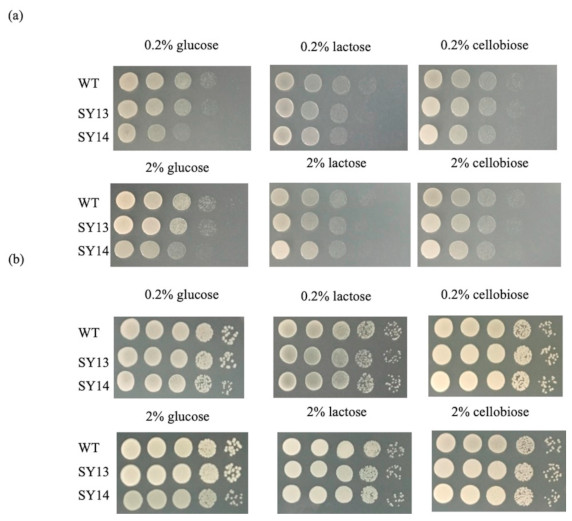Fuels 03 00015 g004 Fuels 03 00015 g004