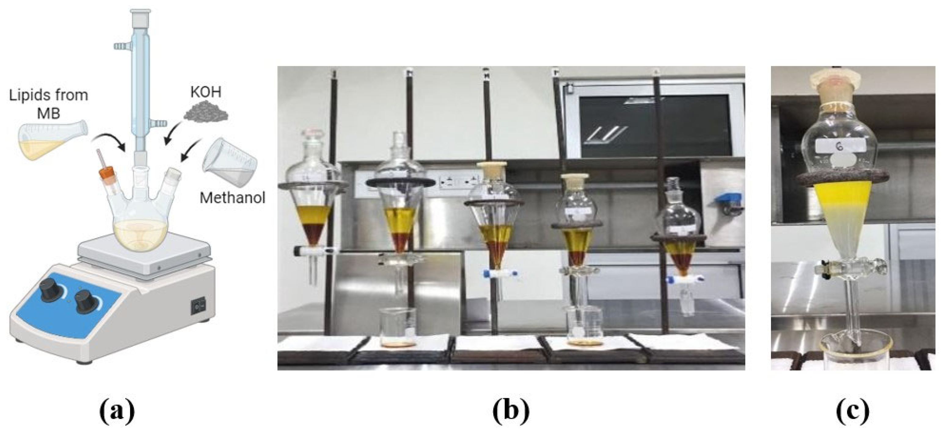 Fuels 06 00053 g002 Fuels 06 00053 g002